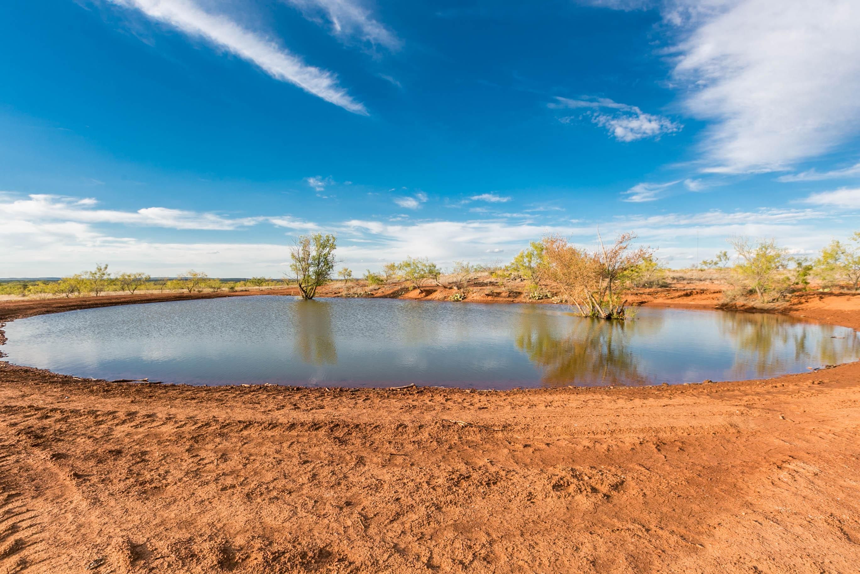 240 acres in Nolan County, Texas