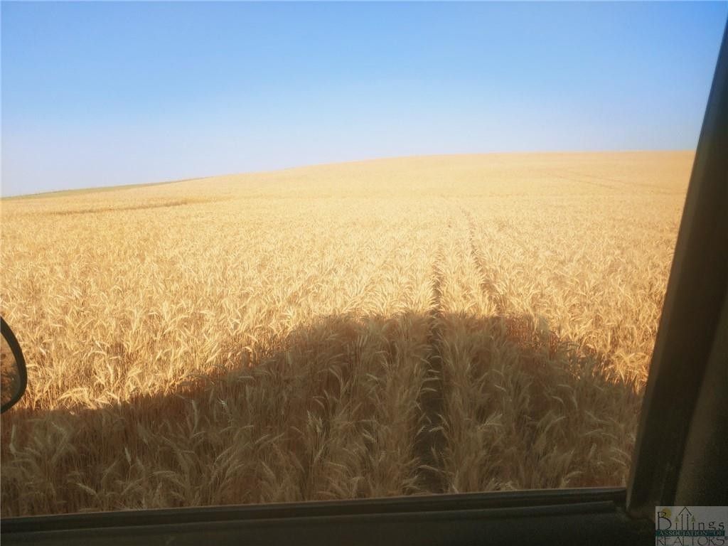 1,590 acres in McCone County, Montana