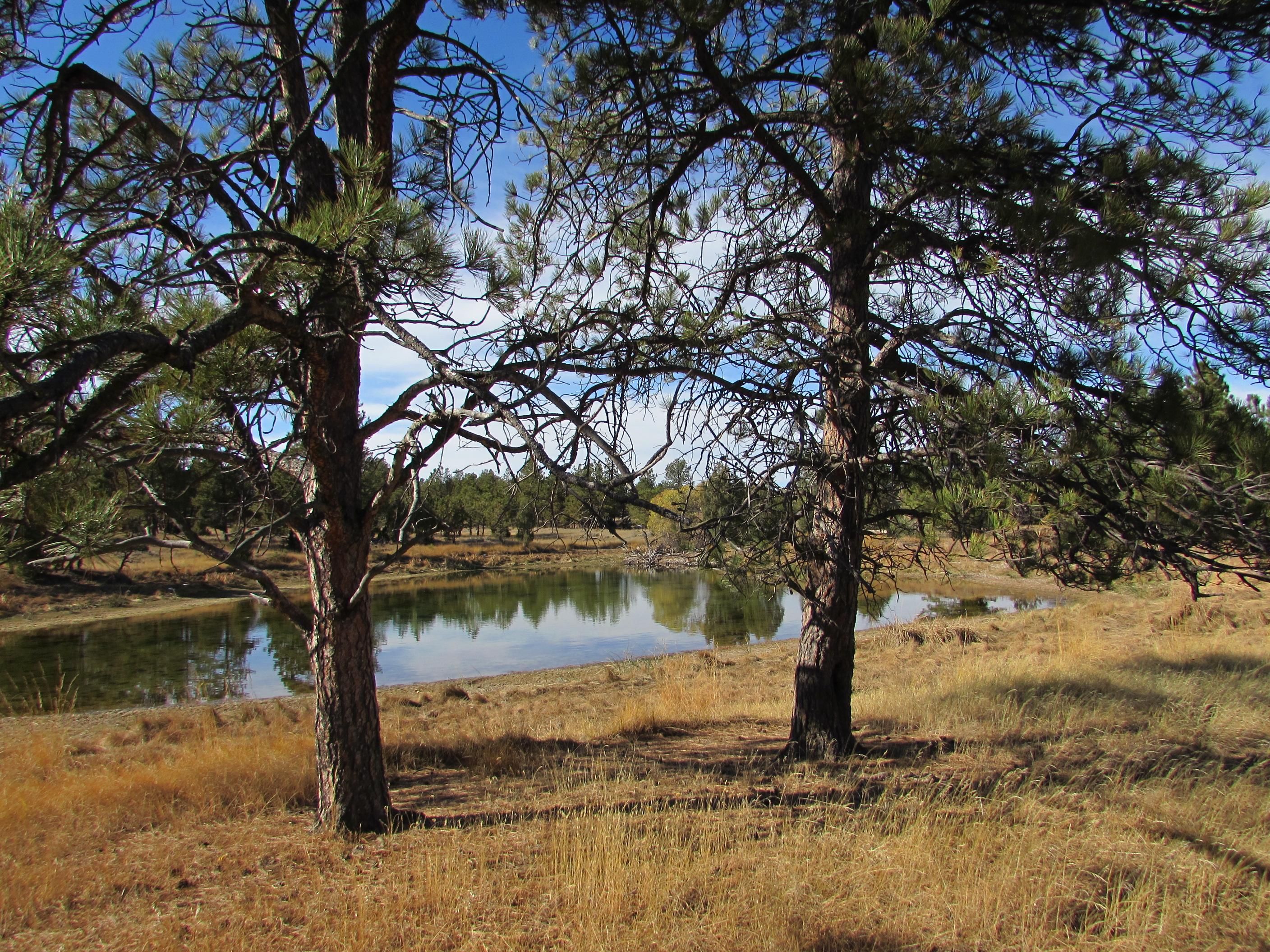 36.88 acres in Crook County, Wyoming