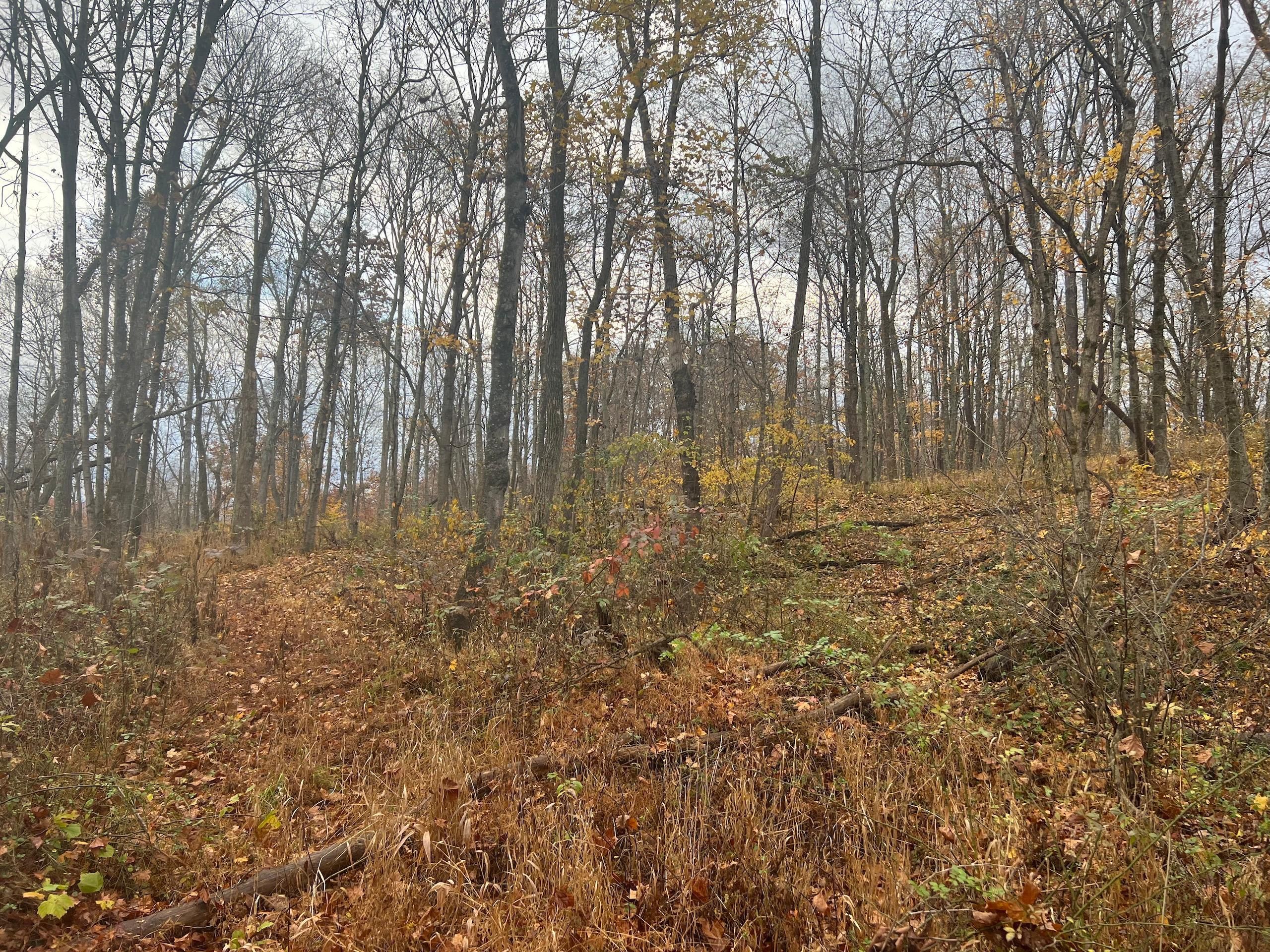 24 acres in Gallia County, Ohio