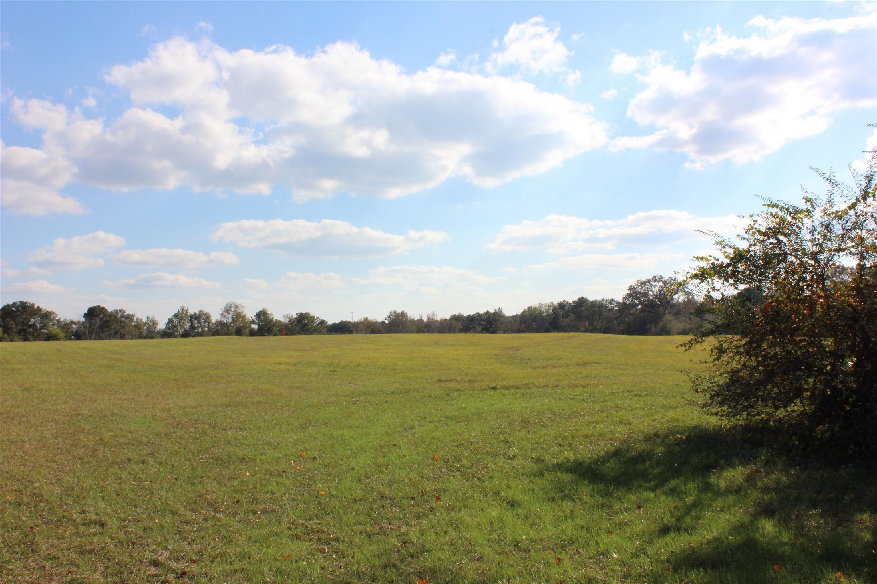 50 acres in Covington County, Alabama