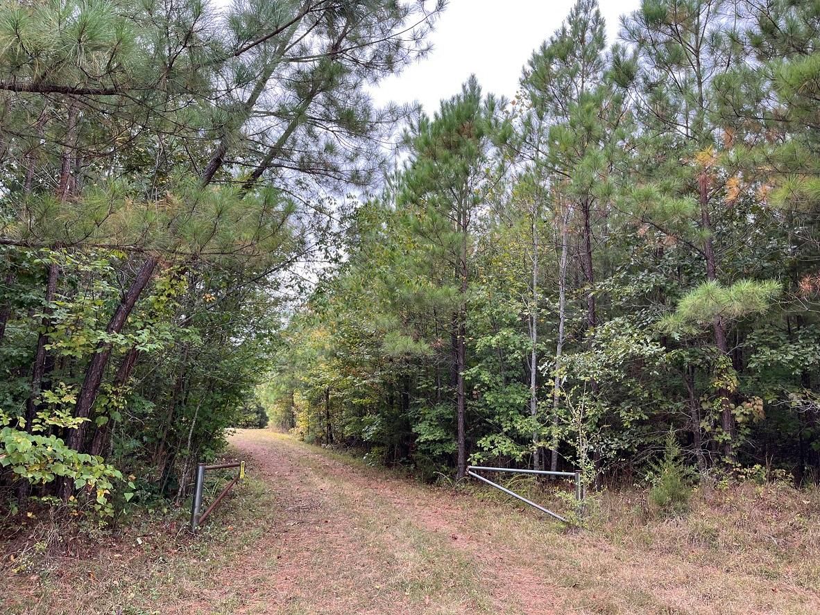 106.71 acres in Prince Edward County, Virginia