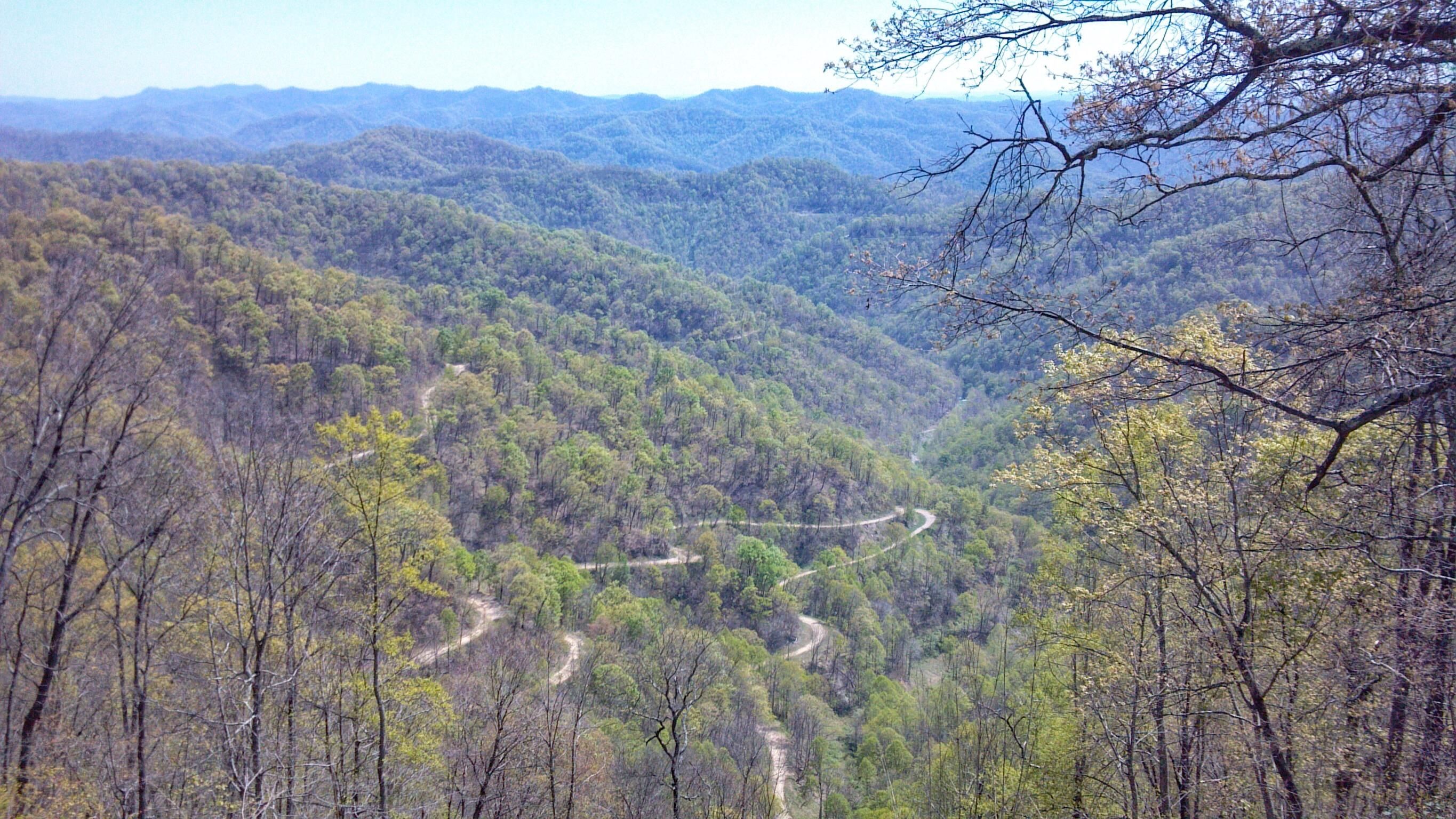 Totem Pole Road, Northfork, WV 24868 MLS 20084074