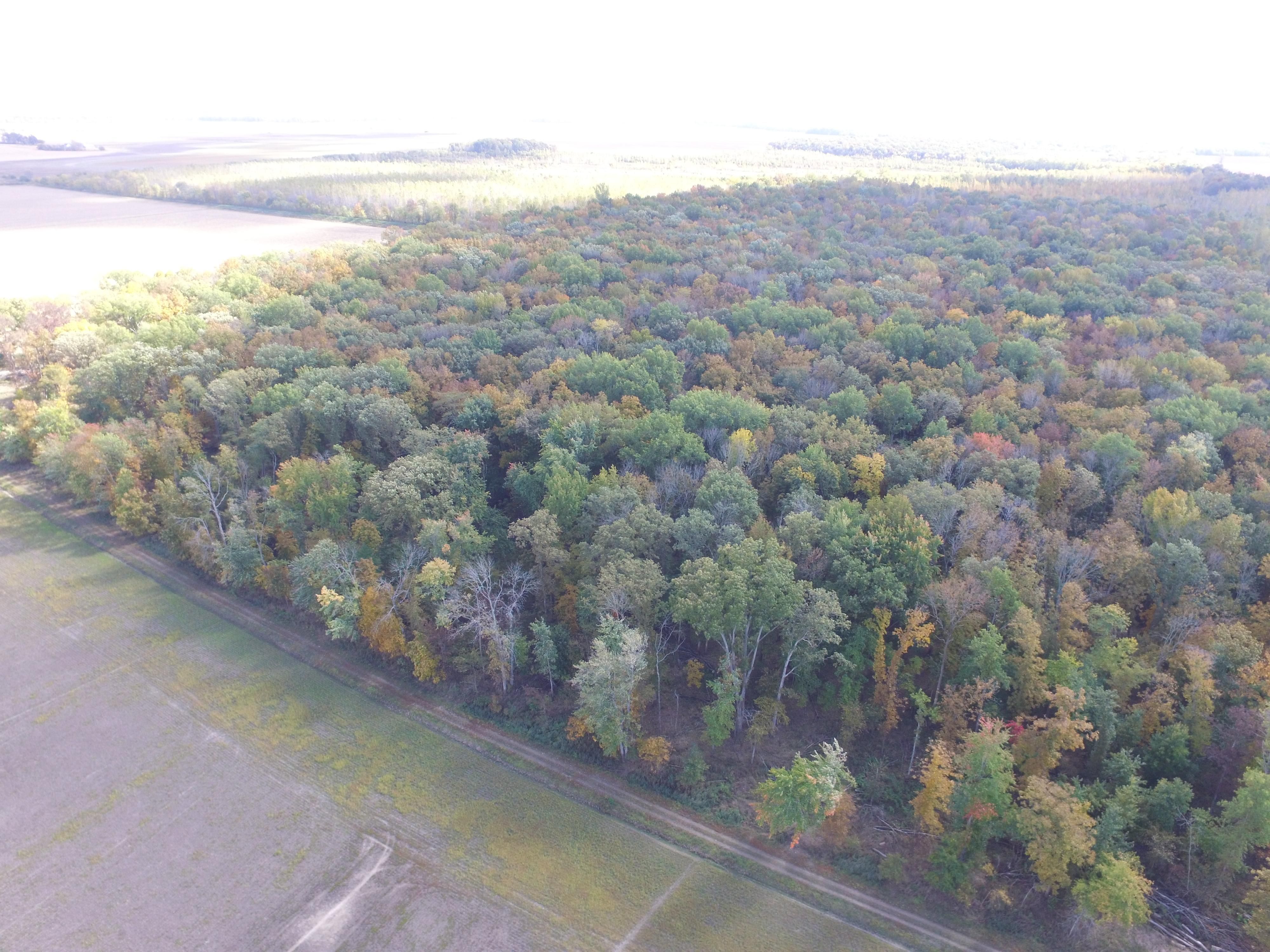 40 acres in Wayne County, Illinois