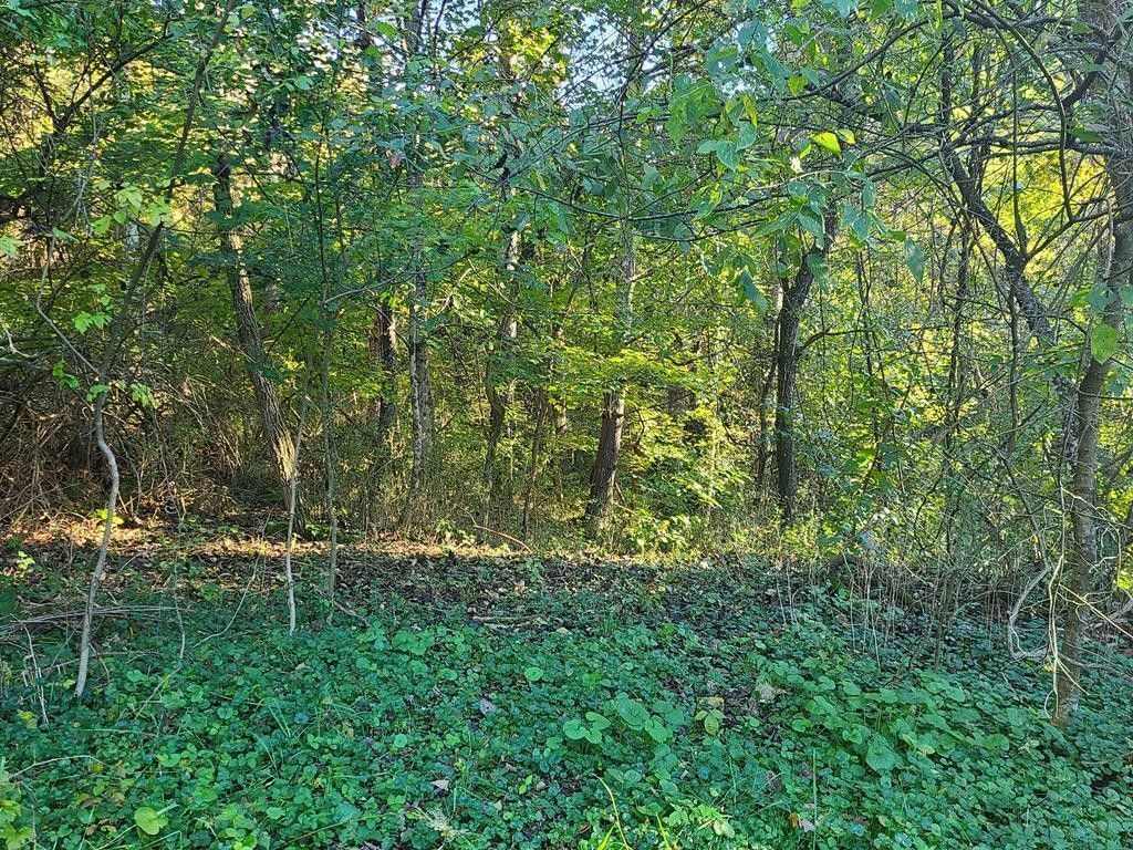 2.3 acres in Russell County, Virginia