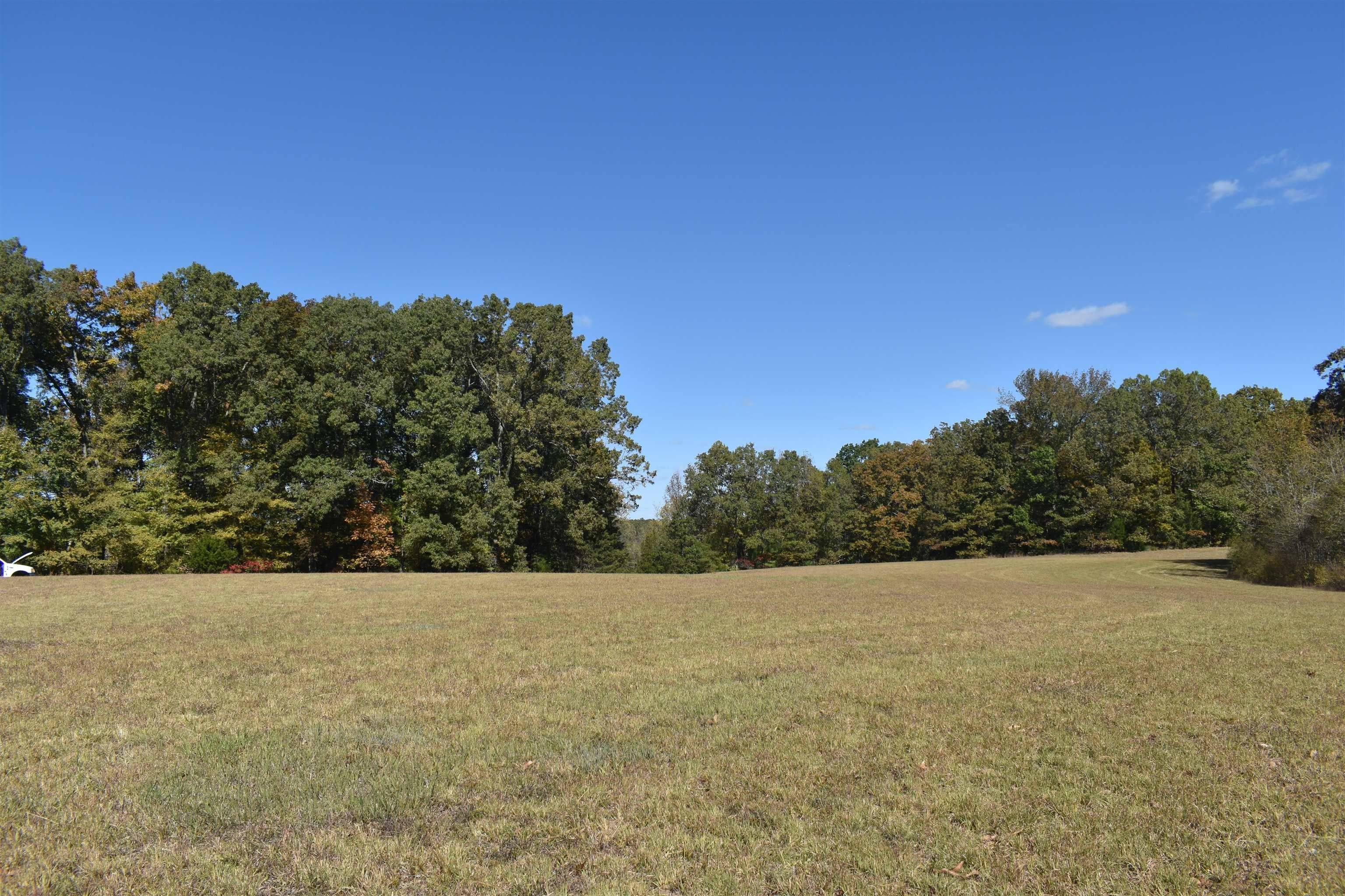 8 acres in McNairy County, Tennessee