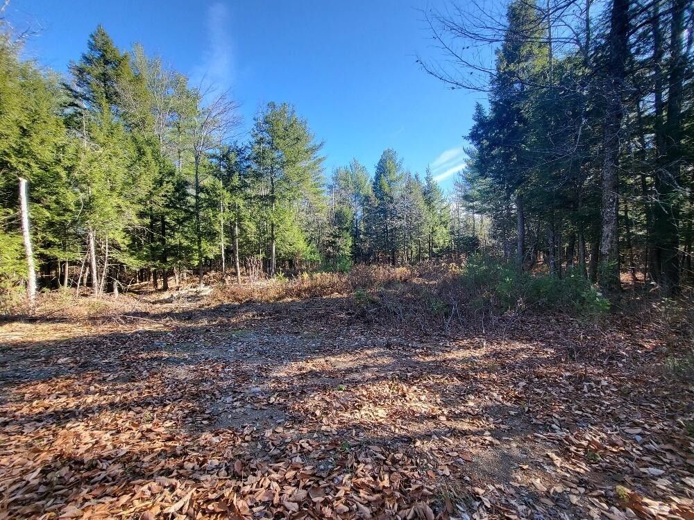 20 acres in Franklin County, Maine
