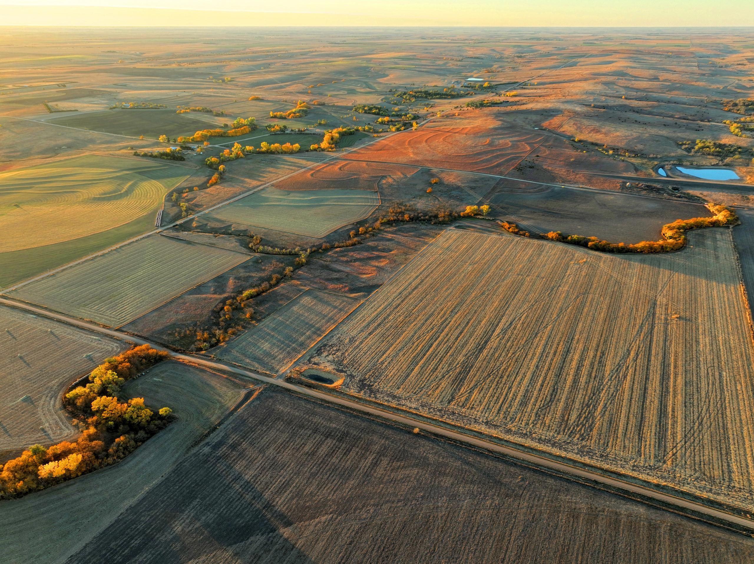 156.5 acres in Rush County, Kansas