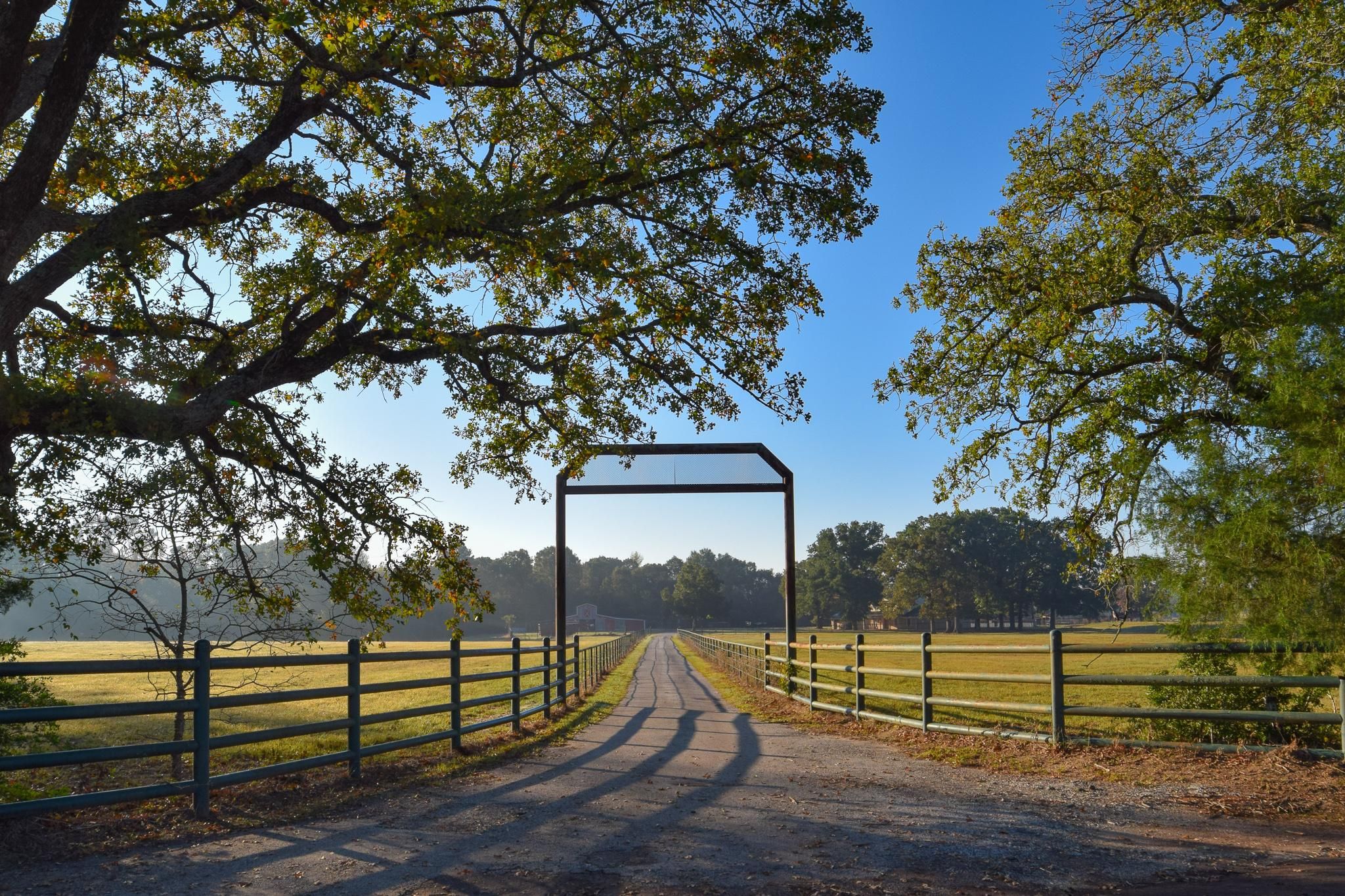 17 acres in Anderson County, Texas