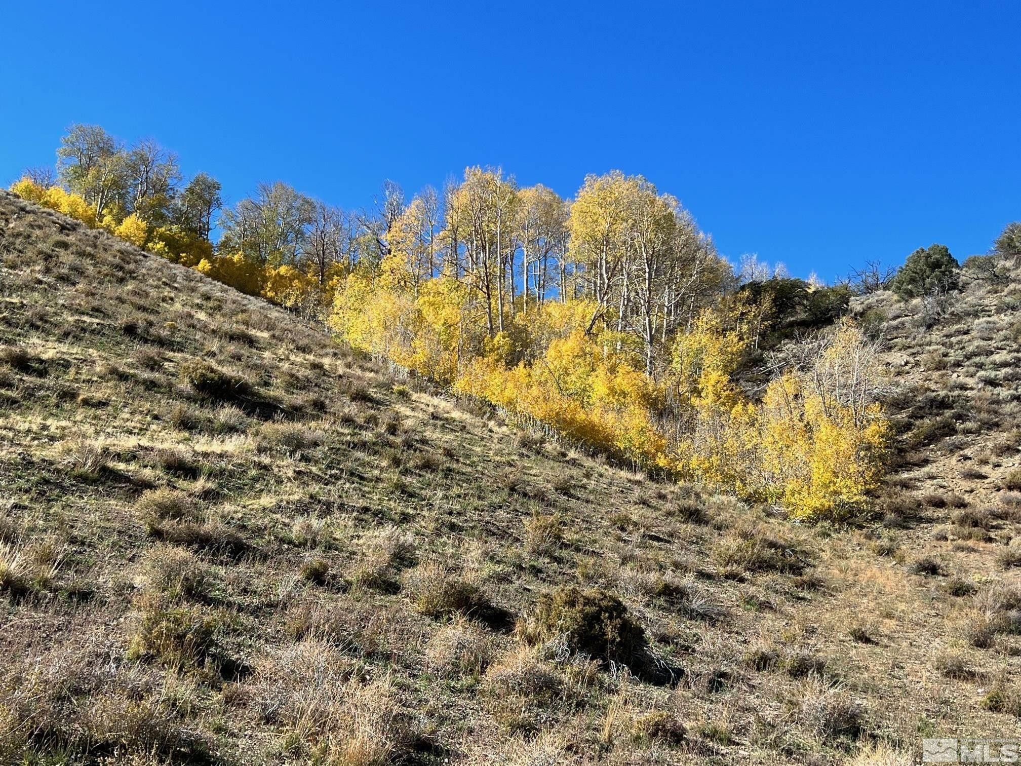 80 acres in Douglas County, Nevada