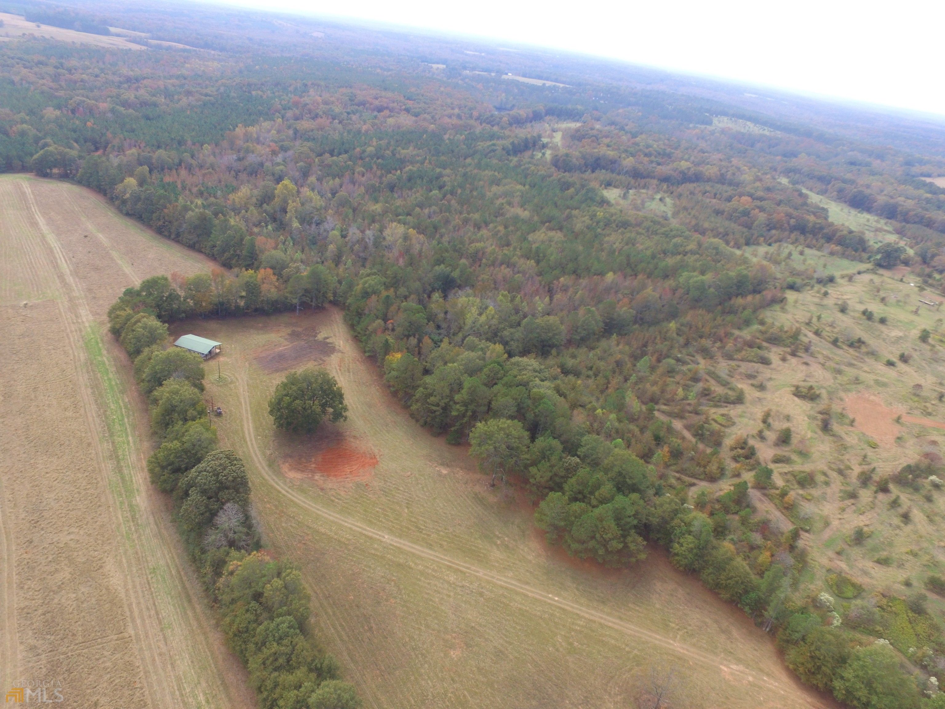 50.29 acres in Lamar County,
