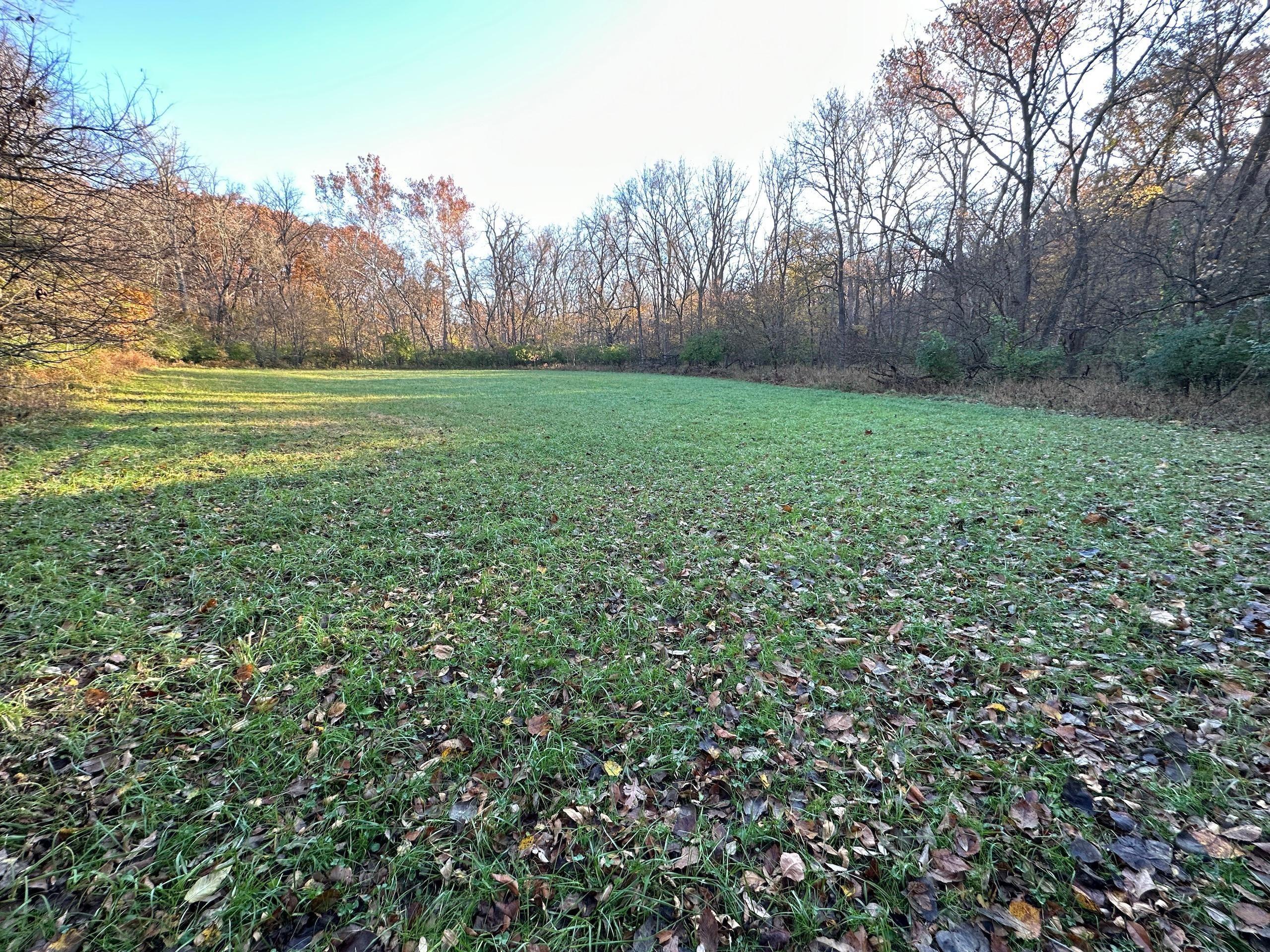 Zillow Morgan County Il - bsl5xpw