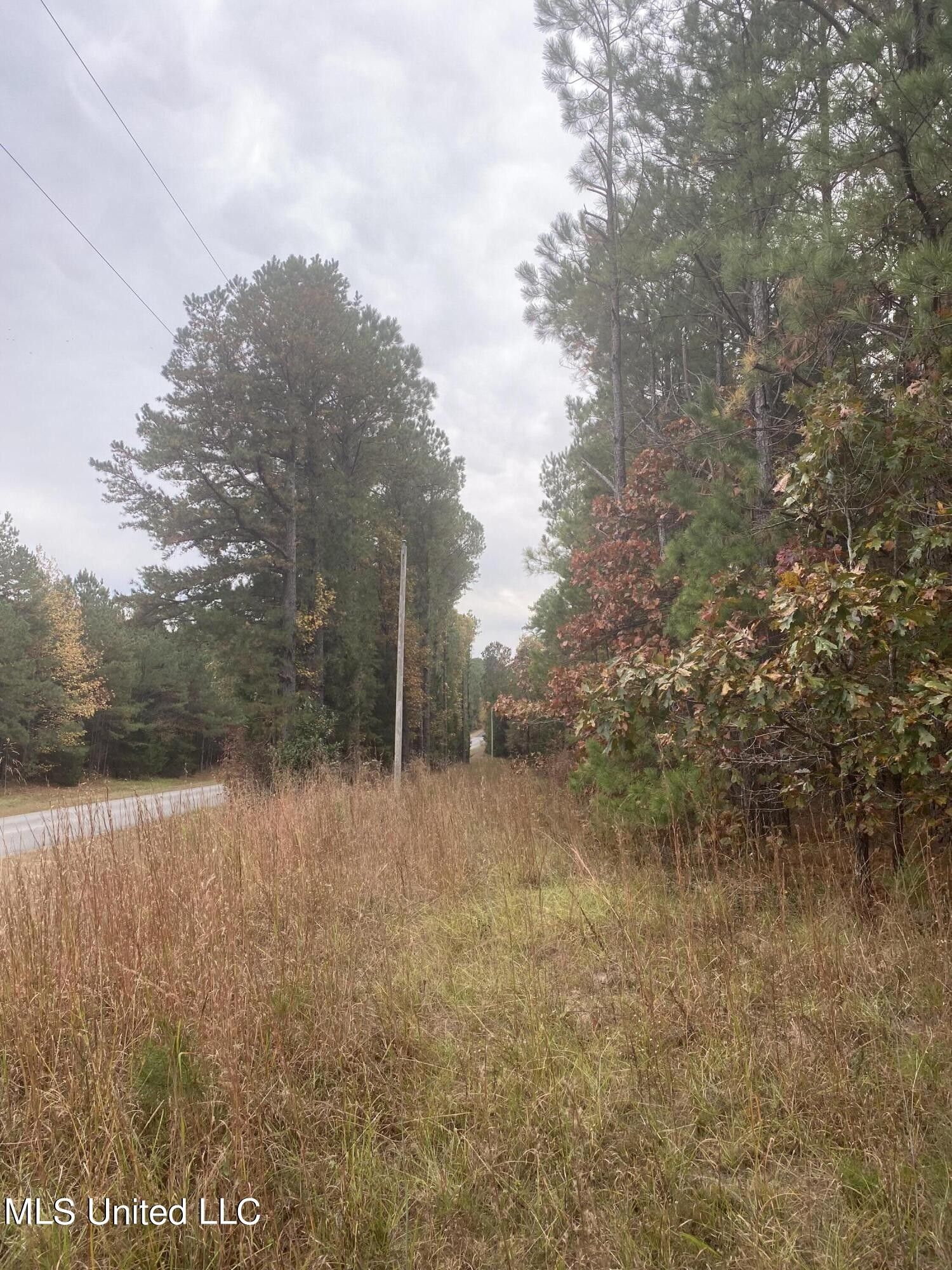 11 acres in Choctaw County, Mississippi