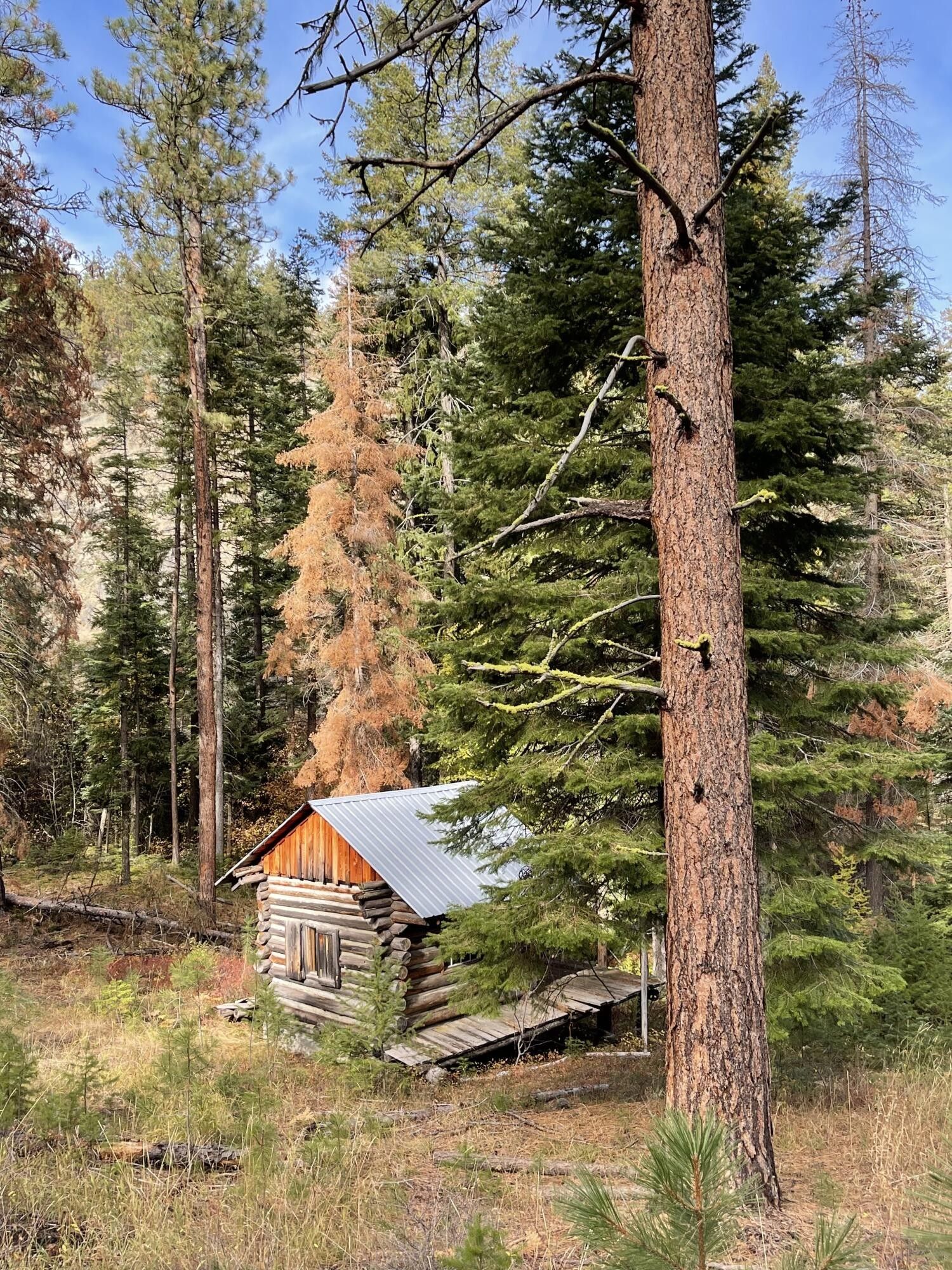 40.01 acres in Grant County, Oregon