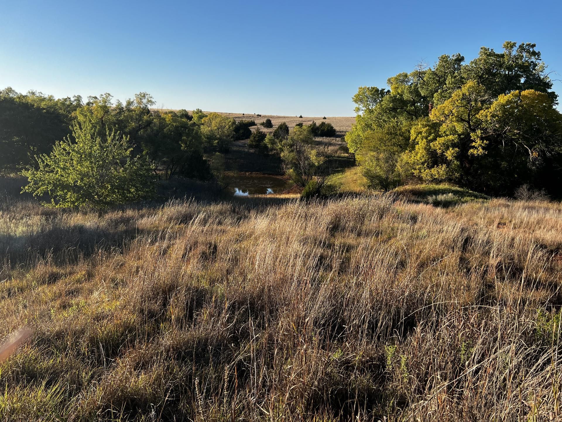 240 acres in Custer County, Oklahoma