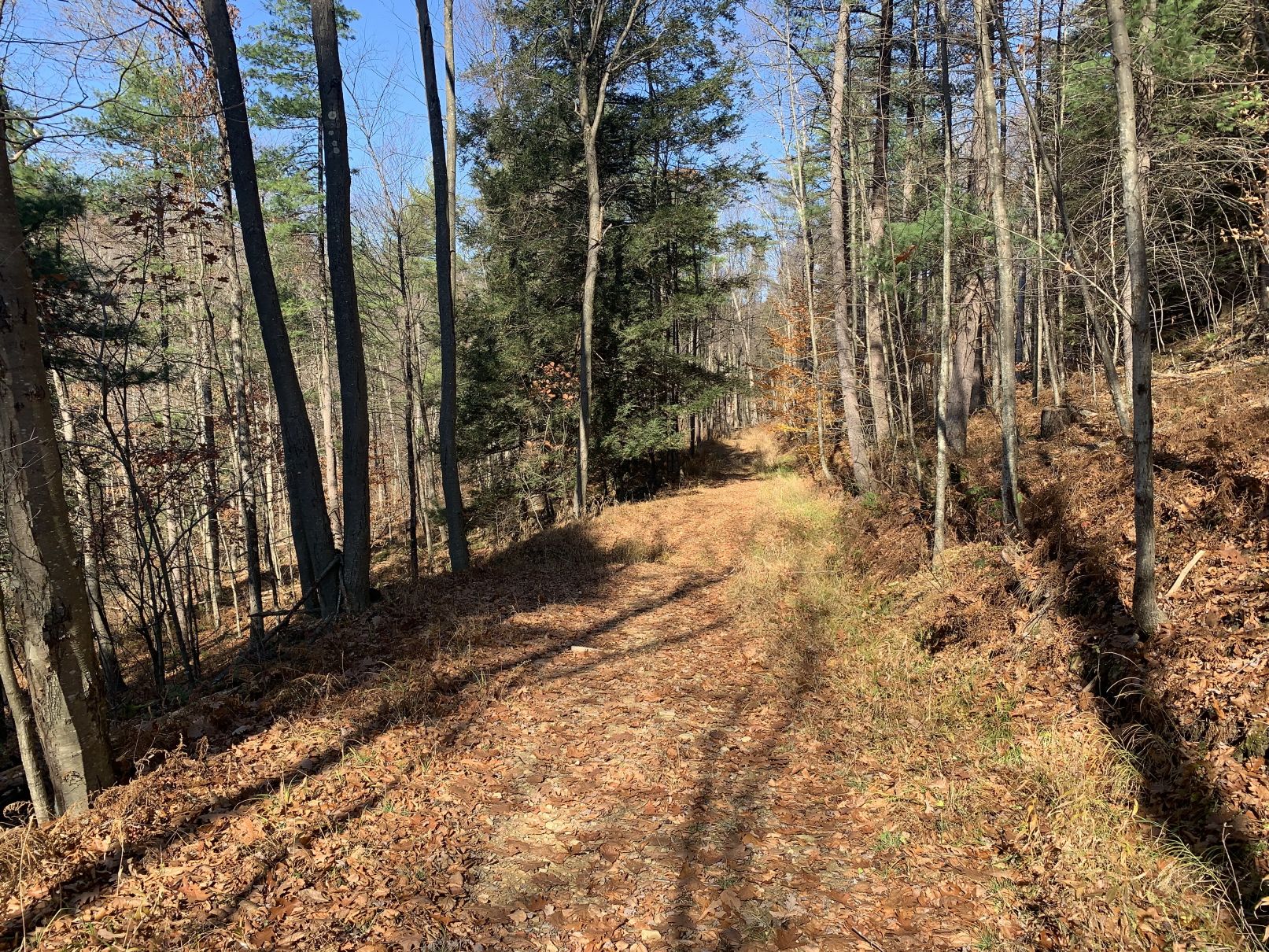 1811468 Red Brush Road, Tionesta, PA 16353 MLS 166181