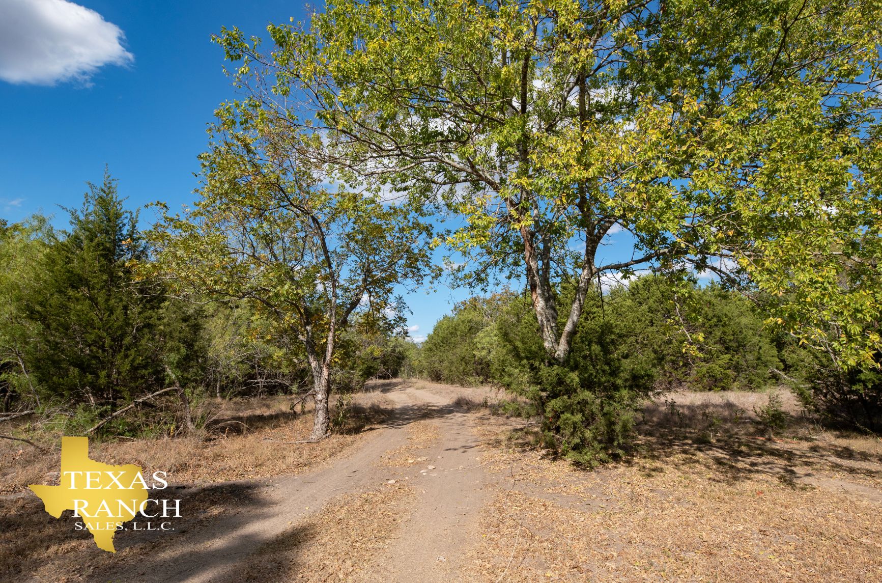 6 acres in Blanco County, Texas