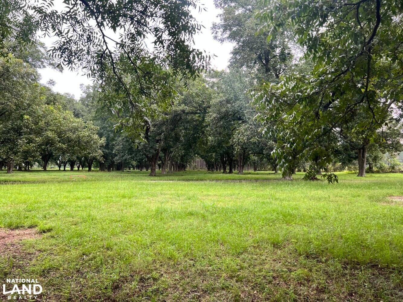 24.63 acres in Telfair County,