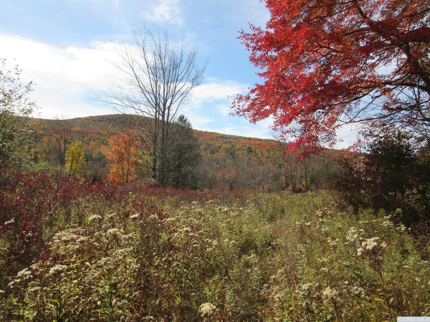 10.4 acres in Greene County, New York