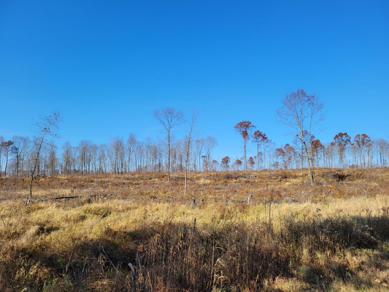 80 acres in Rusk County, Wisconsin