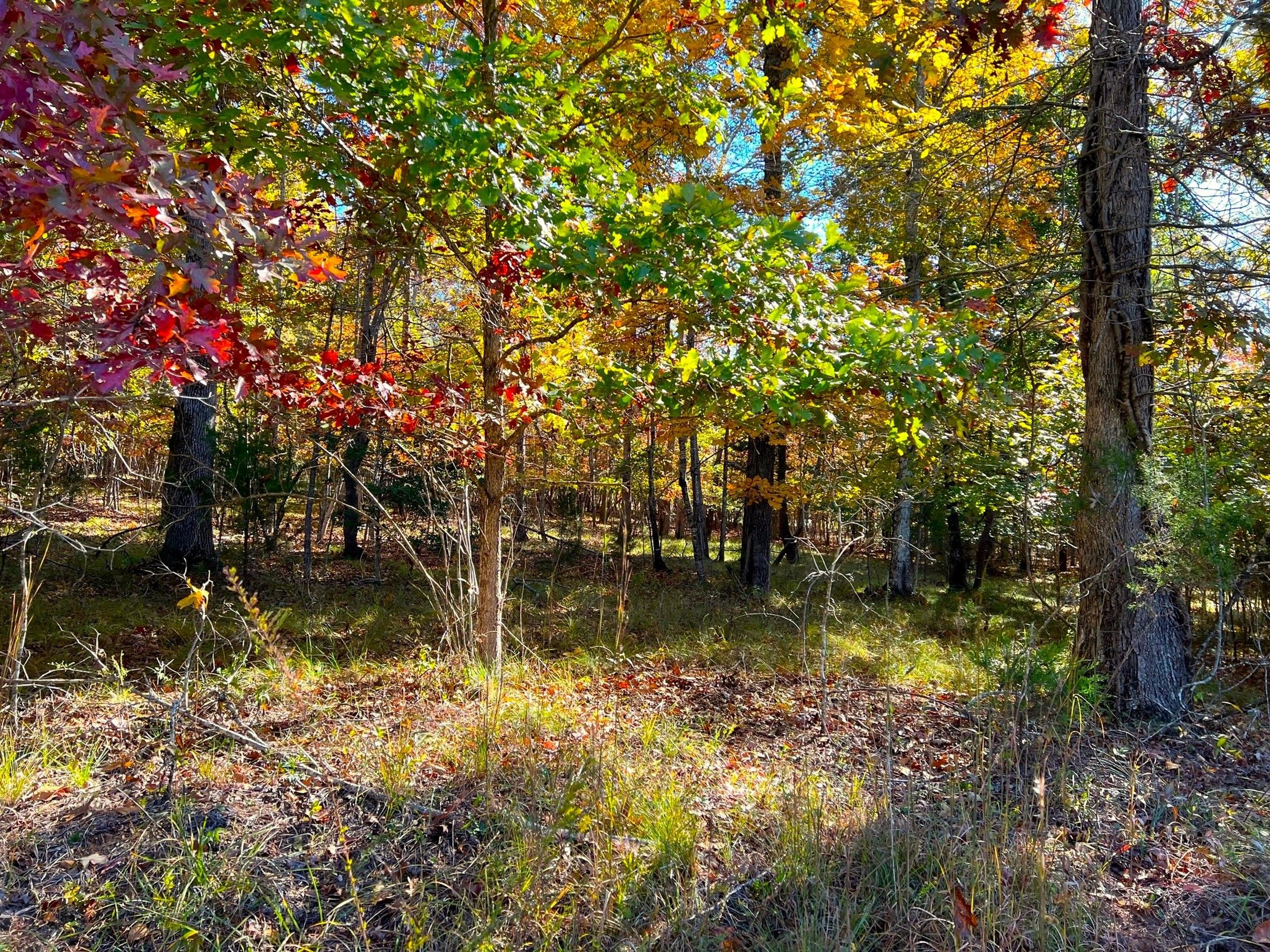 2 acres in Polk County, North Carolina