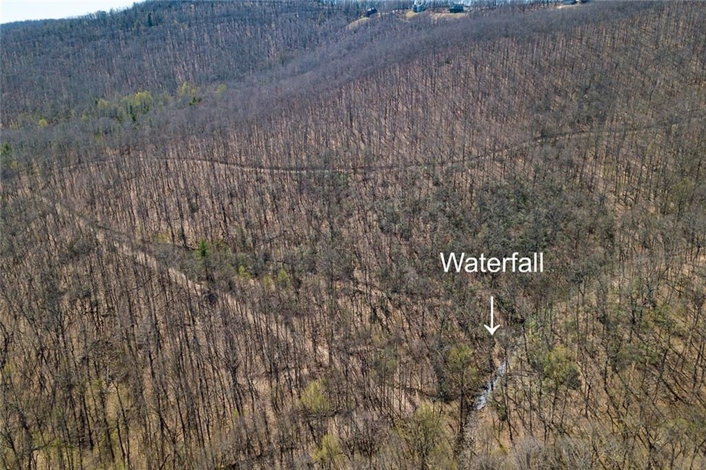 107 acres in Dawson County,