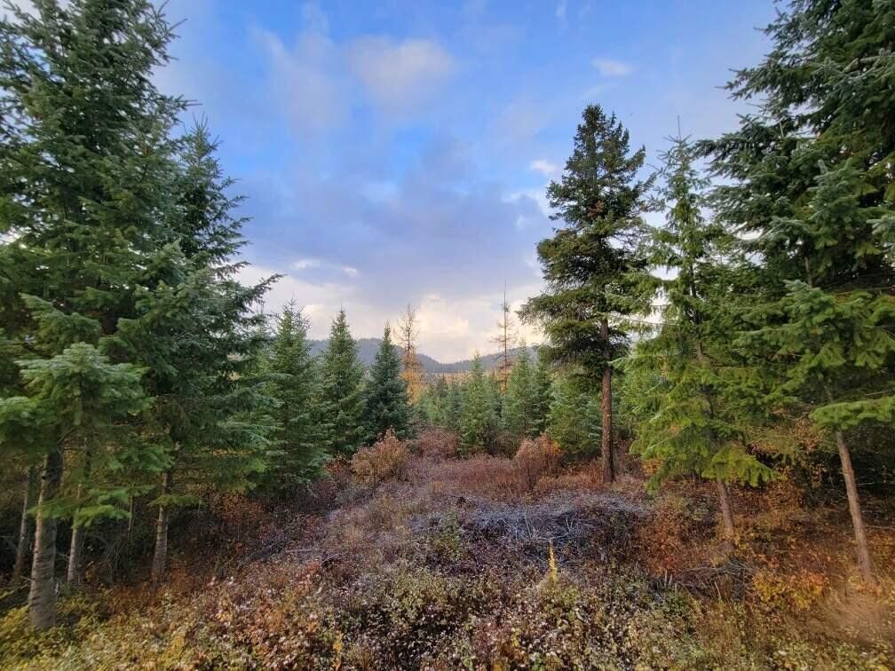 20 acres in Stevens County, Washington