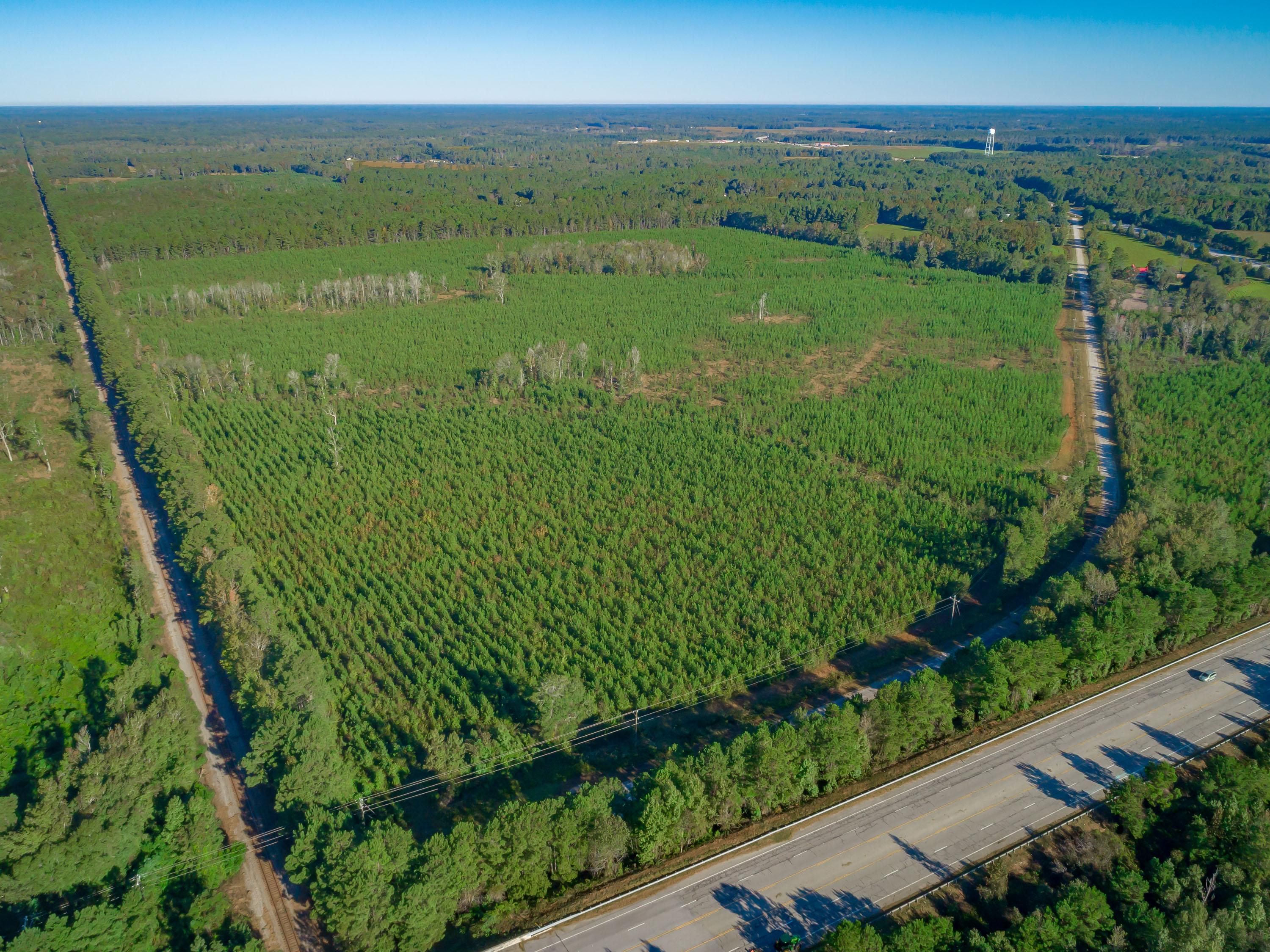128 acres in Williamsburg County, South Carolina
