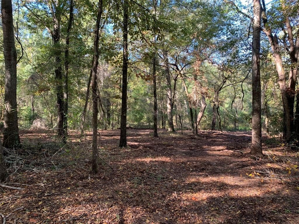25.53 acres in Henderson County, Texas