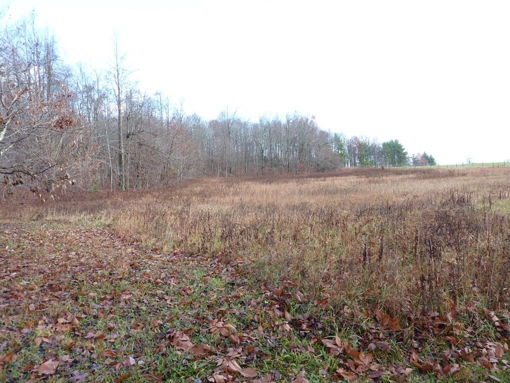 10.29 acres in Patrick County, Virginia