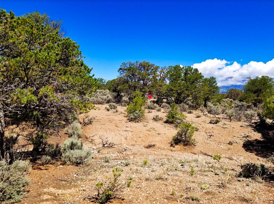 5 acres in Costilla County, Colorado