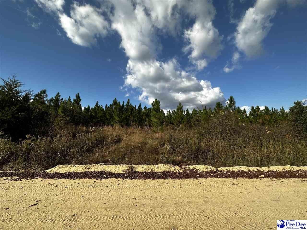 55 acres in Chesterfield County, South Carolina