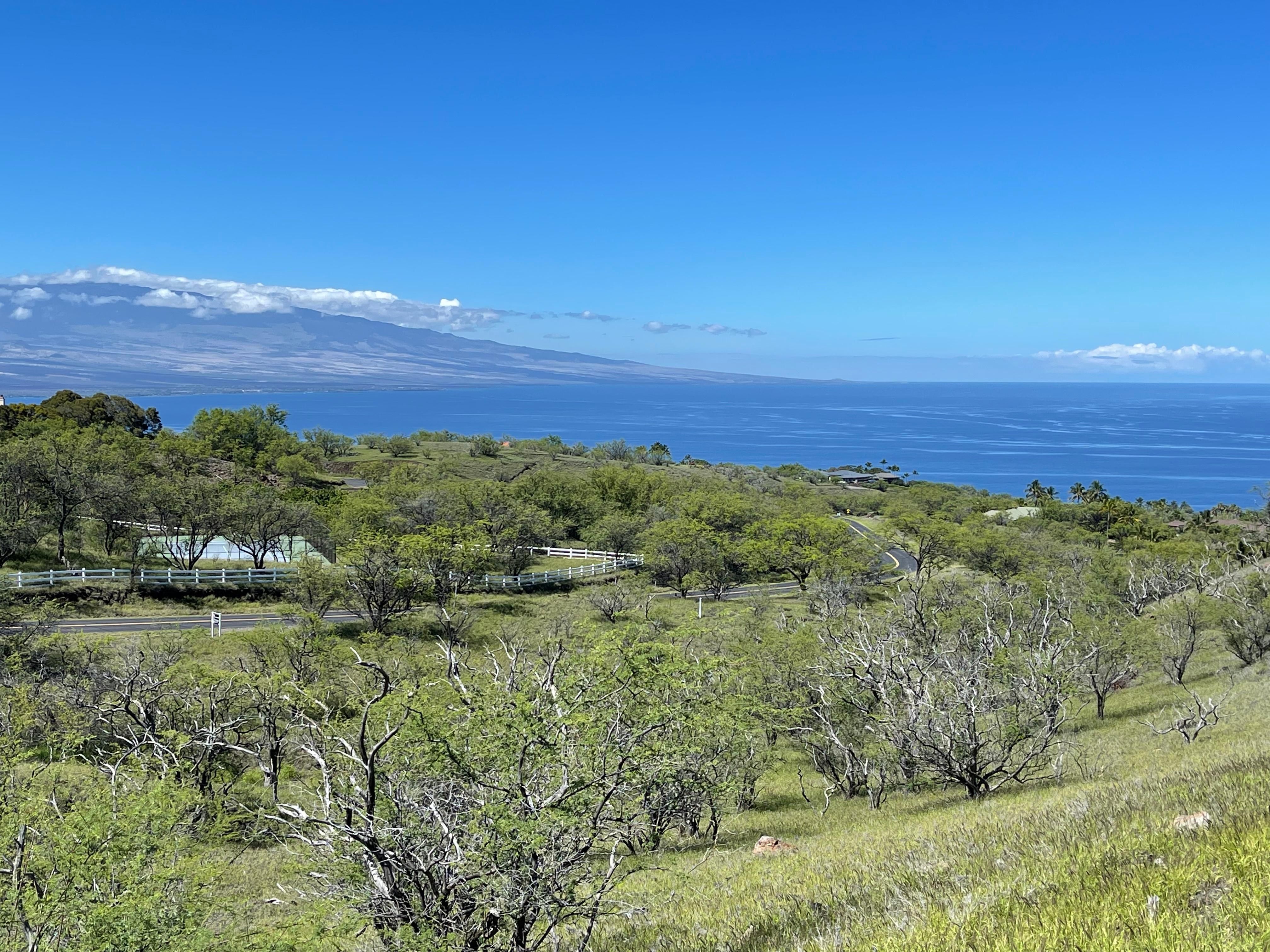 3.58 acres in Hawaii County, Hawaii