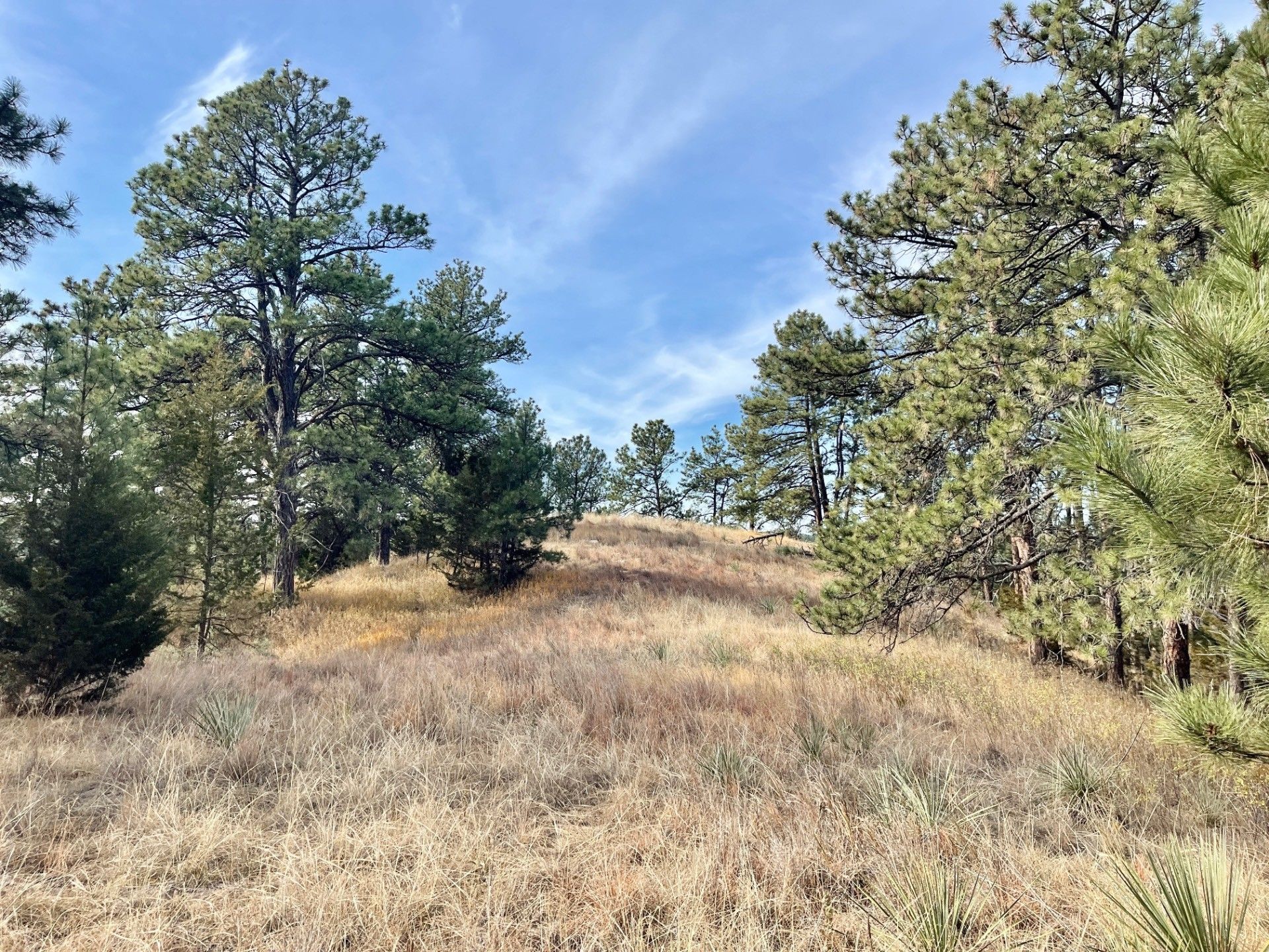 75.47 acres in Cherry County, Nebraska