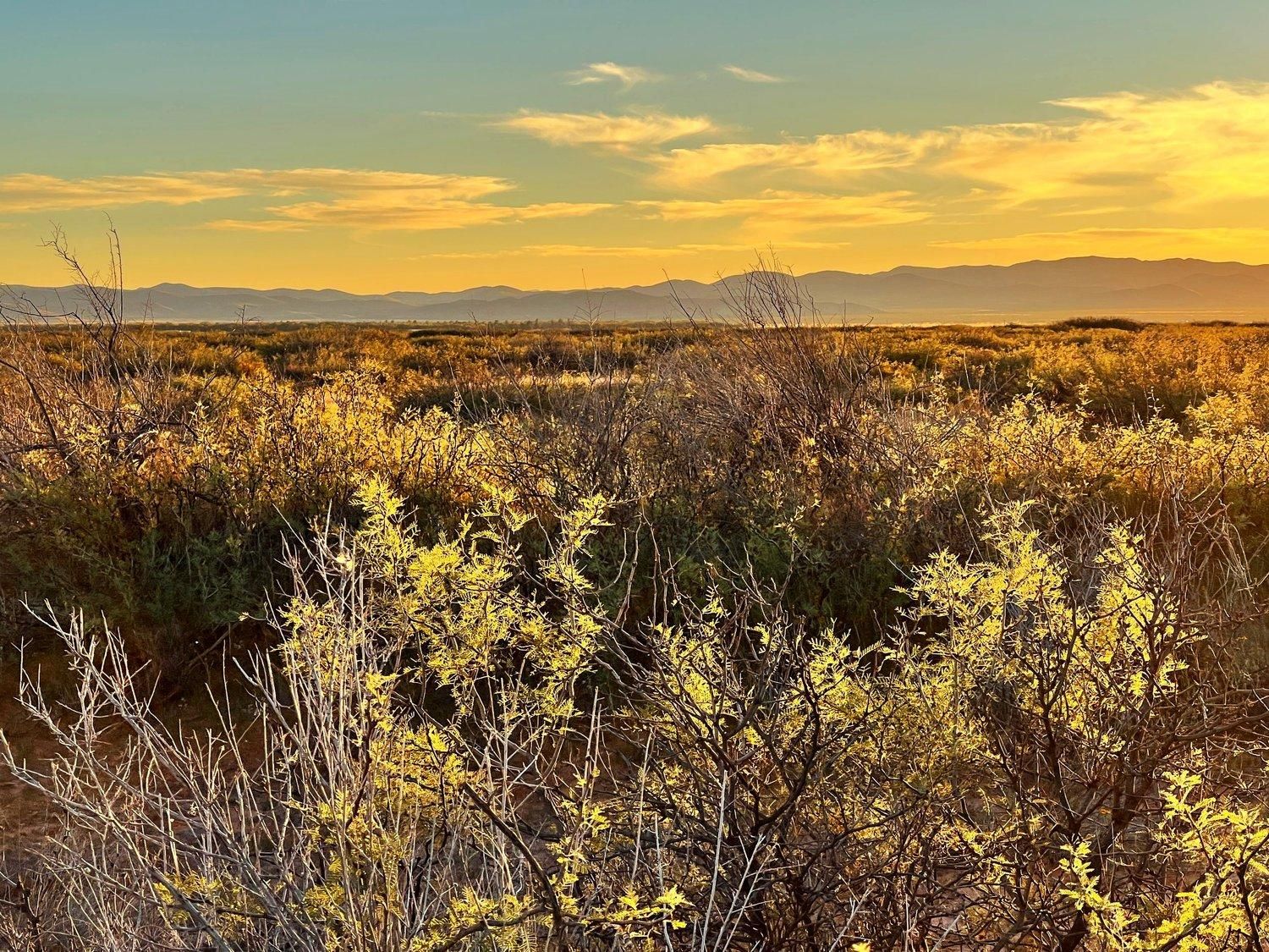 20 acres in Culberson County, Texas