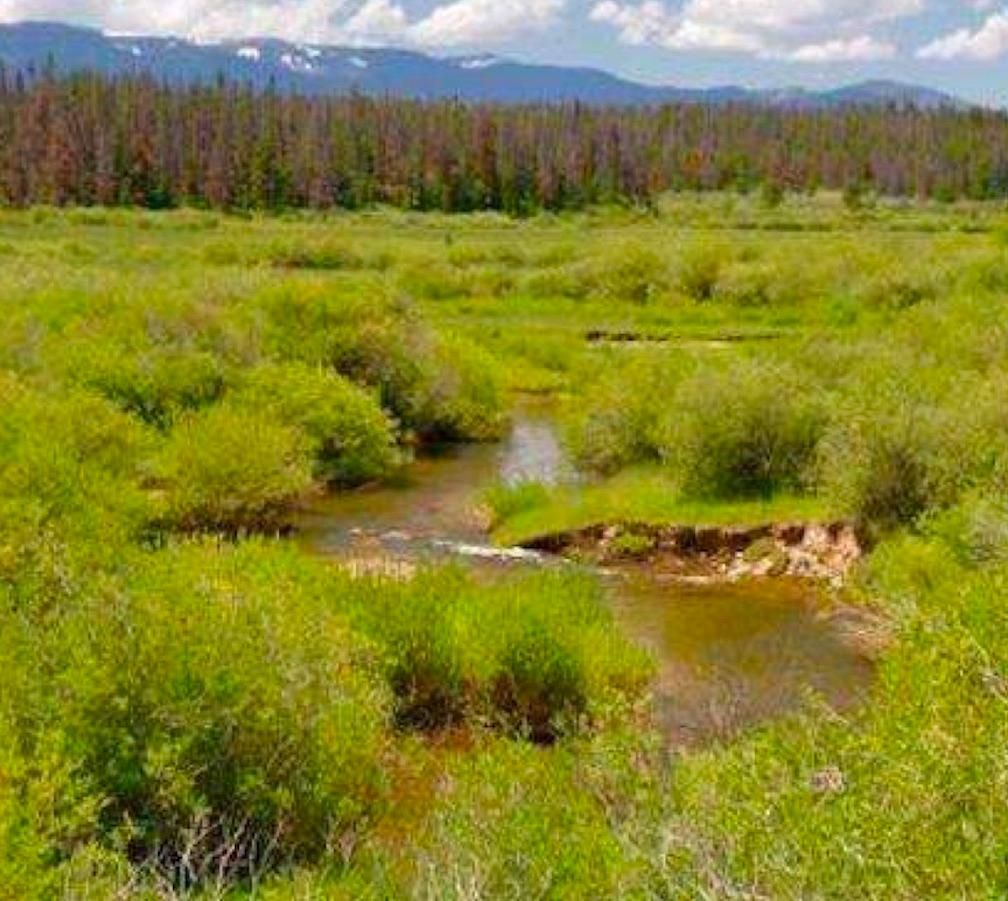 20 acres in Jackson County, Colorado