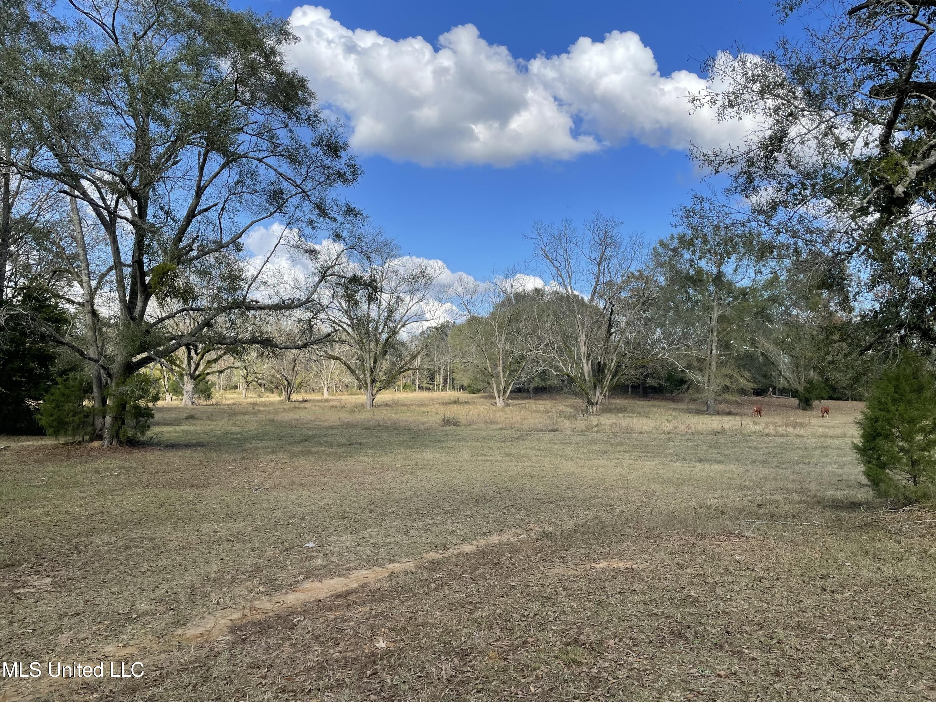 59.19 acres in Hinds County, Mississippi