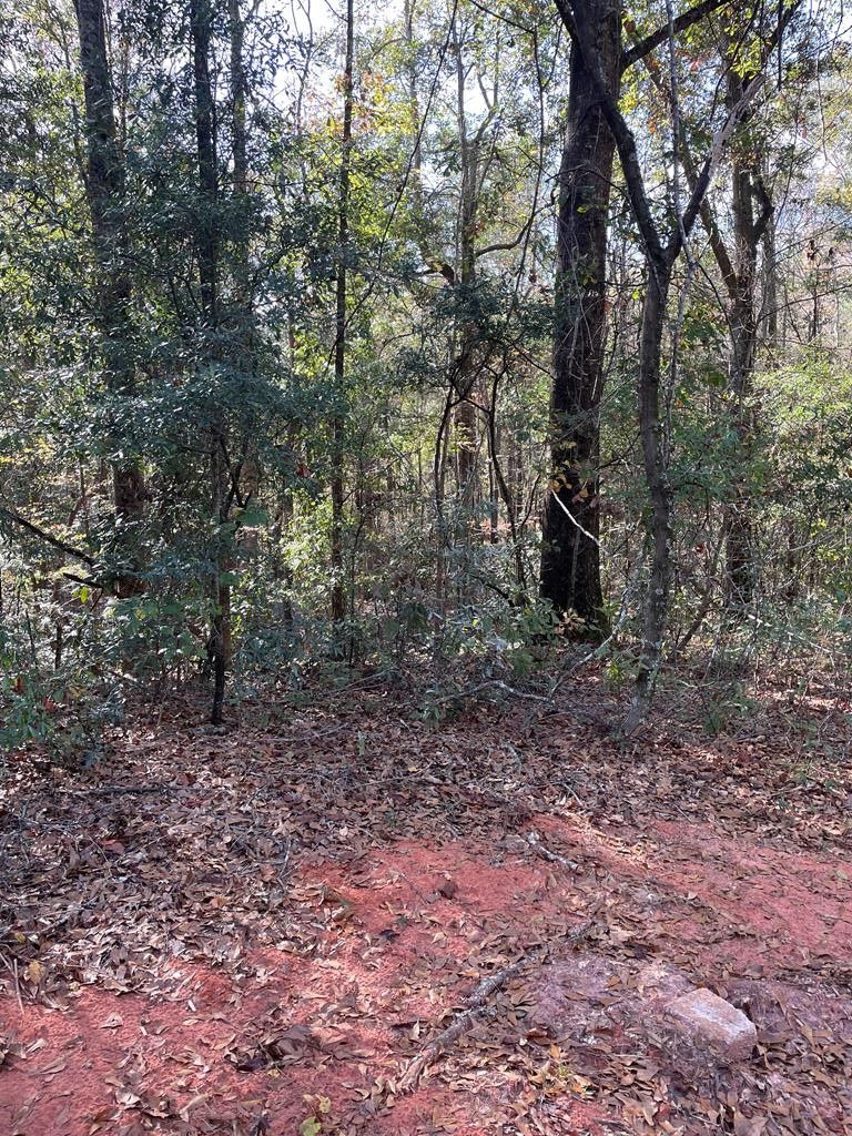 6.5 acres in Sumter County,