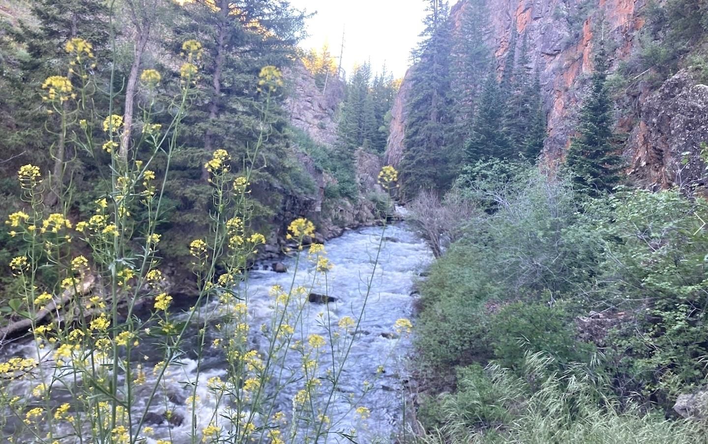 20 acres in Routt County, Colorado