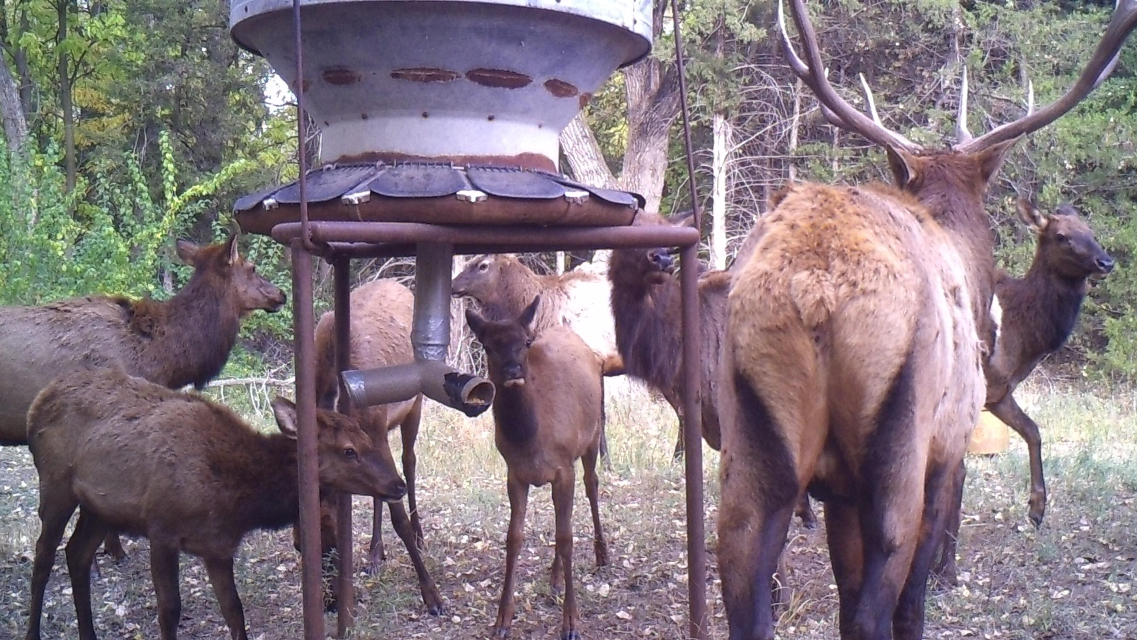 316 acres in Reno County, Kansas