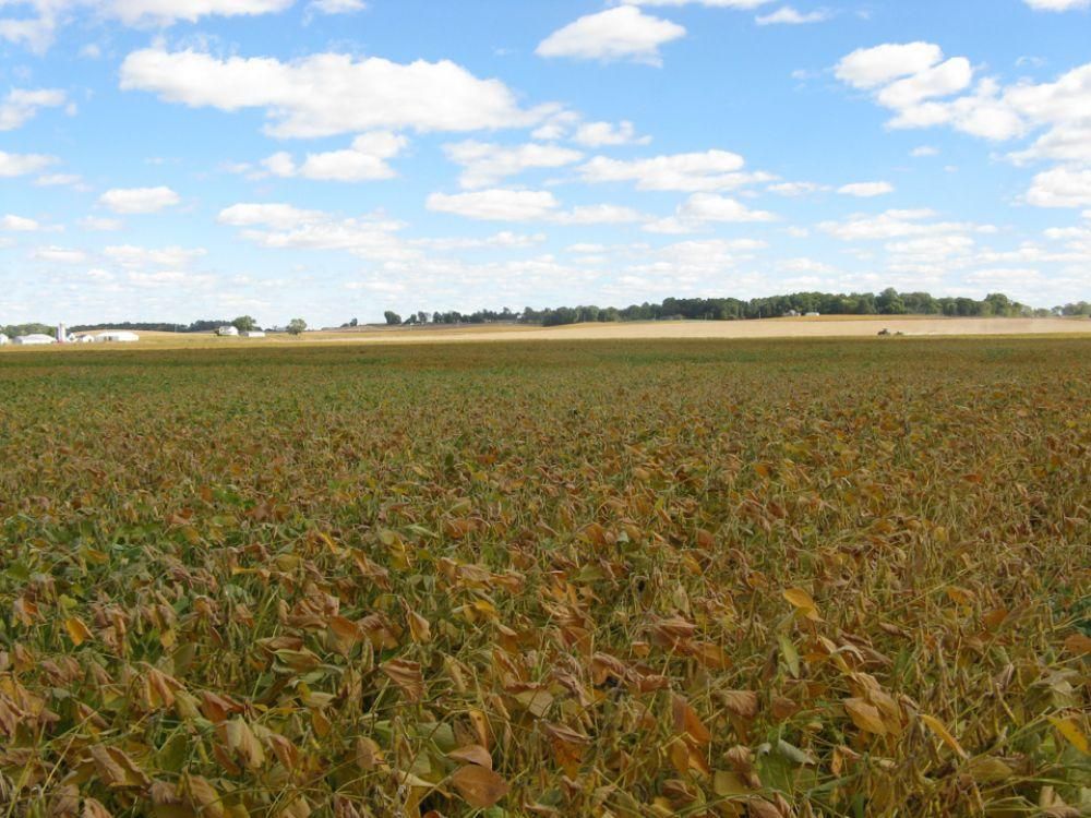 96 acres in Posey County, Indiana