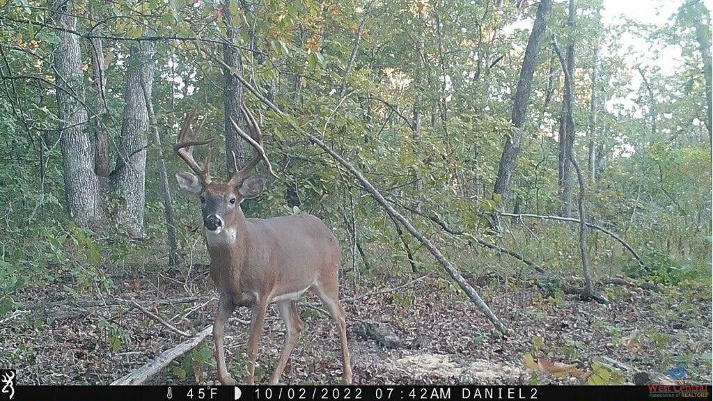 25 acres in Benton County, Missouri