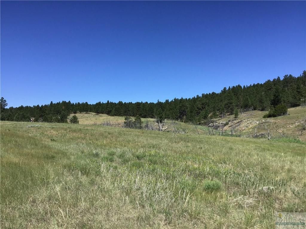 40 acres in Stillwater County, Montana