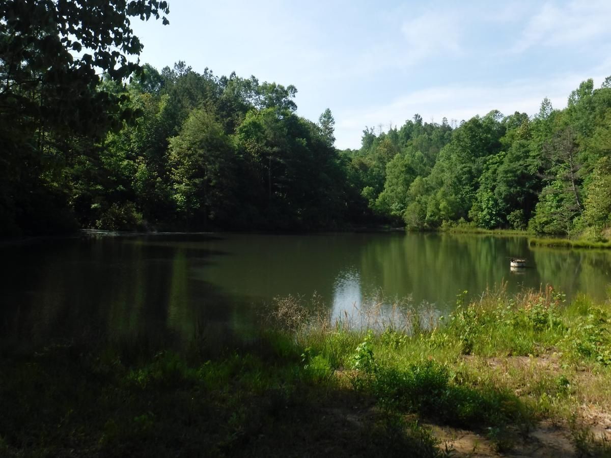 32 acres in Choctaw County, Alabama