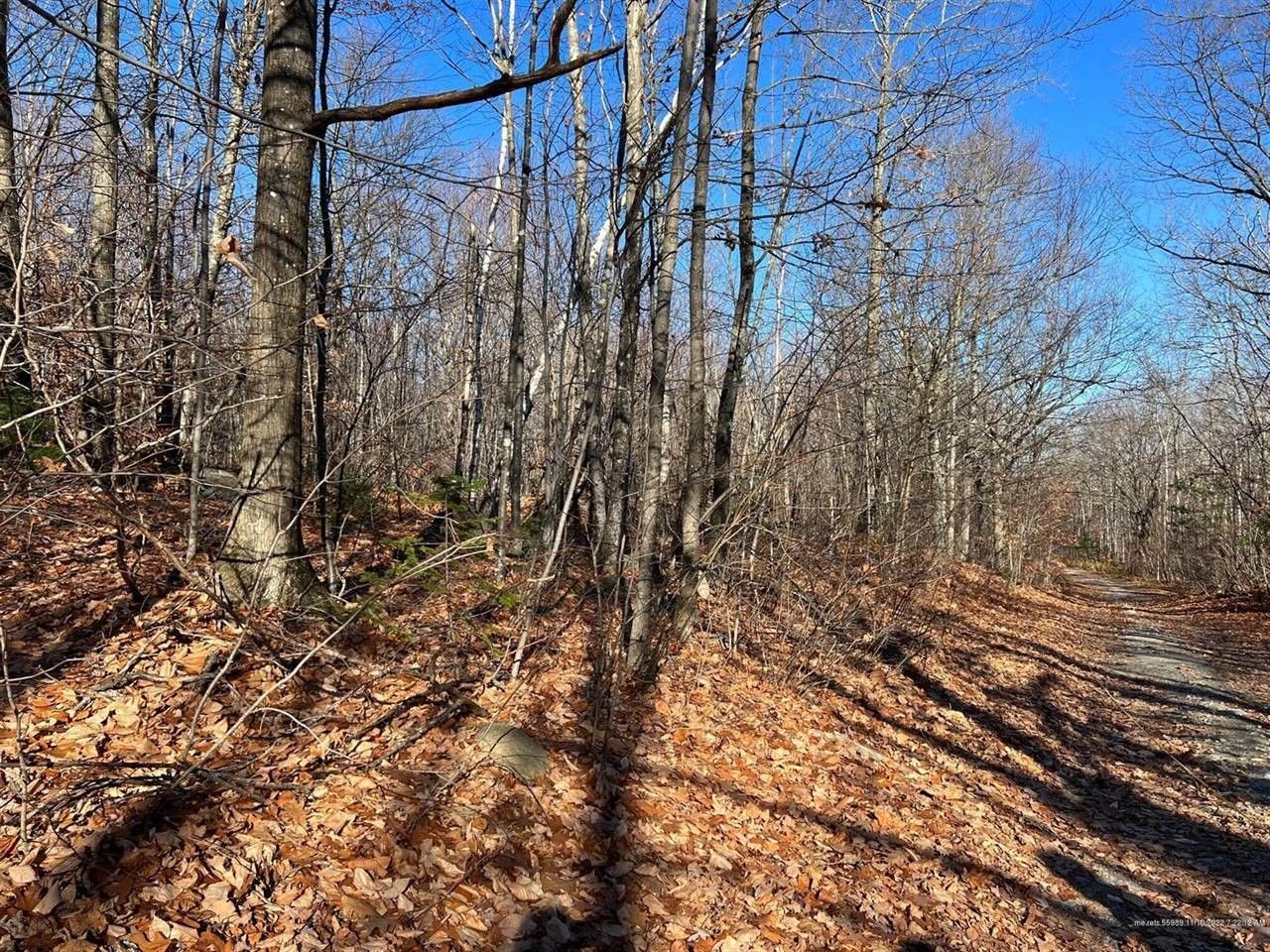 13 acres in Franklin County, Maine