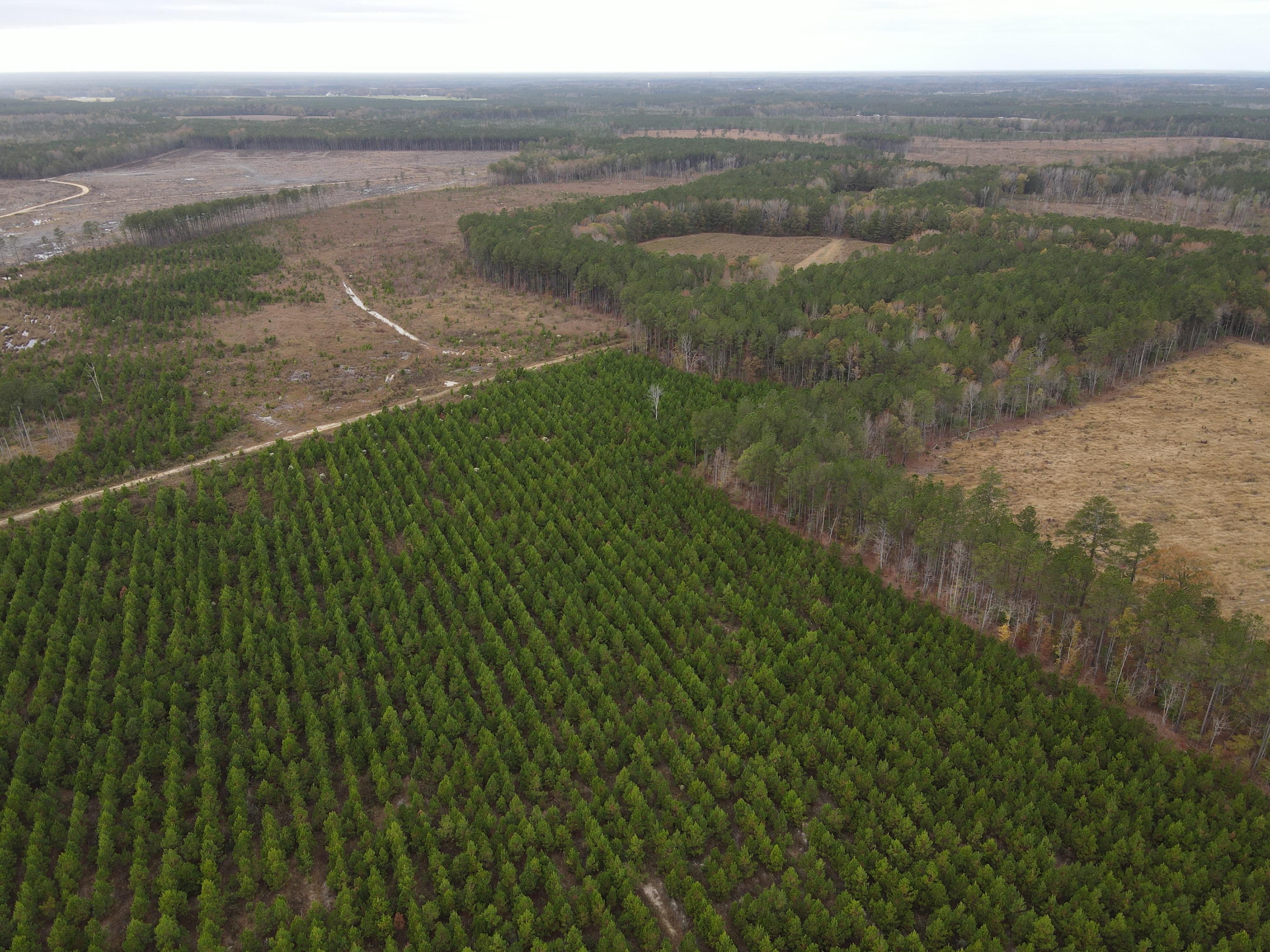 301.9 acres in Northampton County, North Carolina