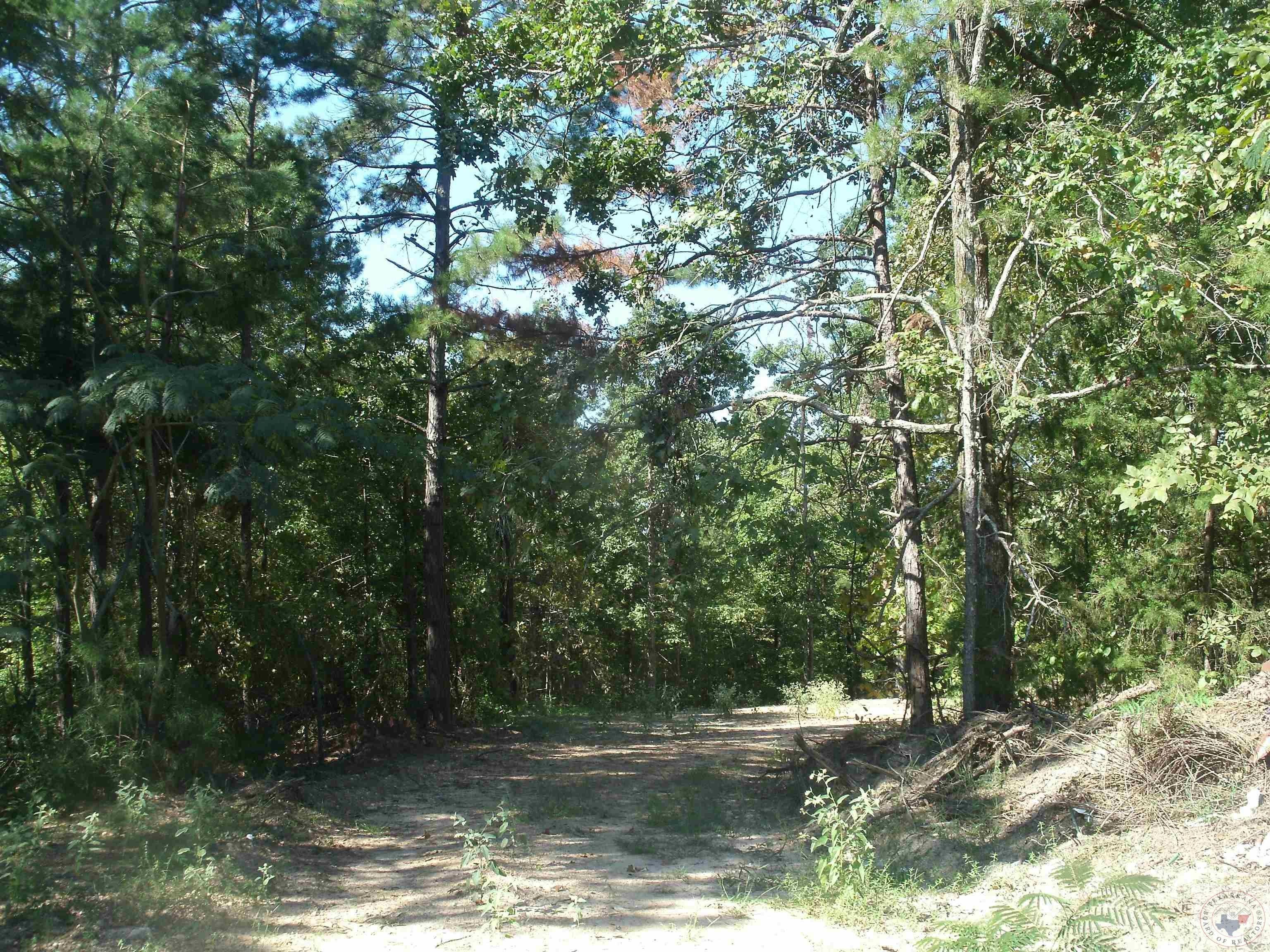 3 acres in Miller County, Arkansas
