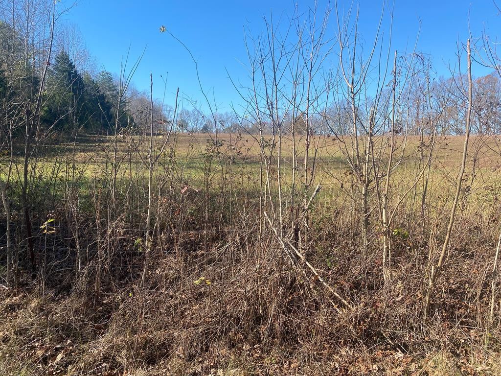 10 acres in Jackson County, Tennessee