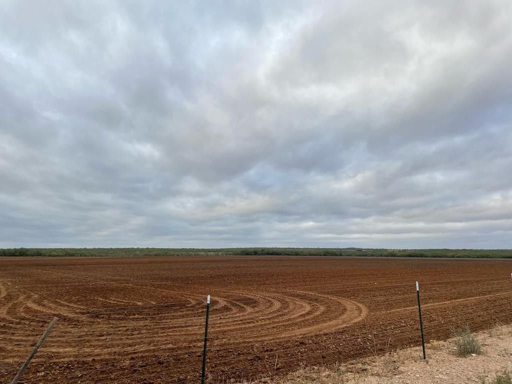 250 acres in Runnels County, Texas