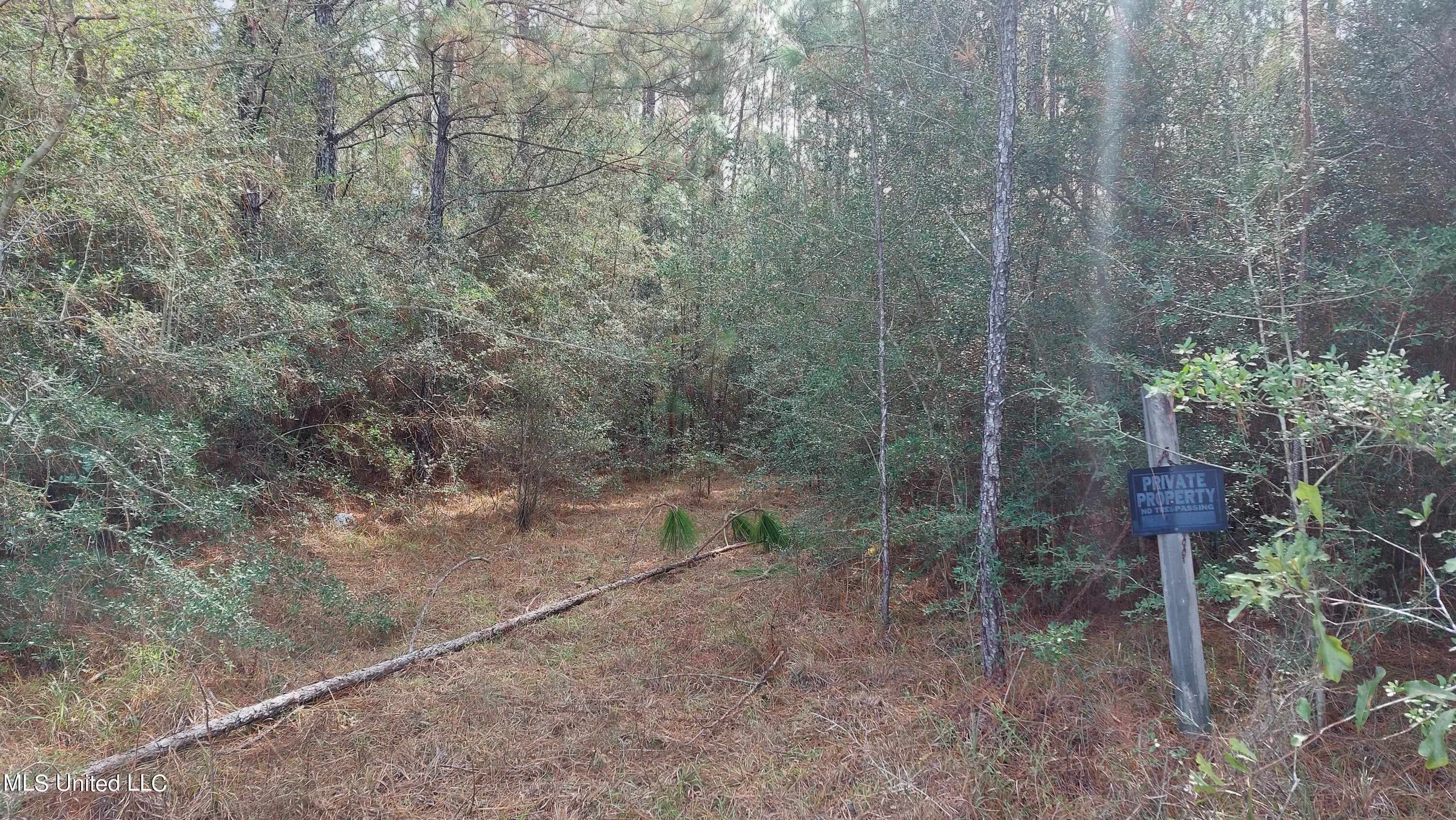 4.4 acres in Stone County, Mississippi